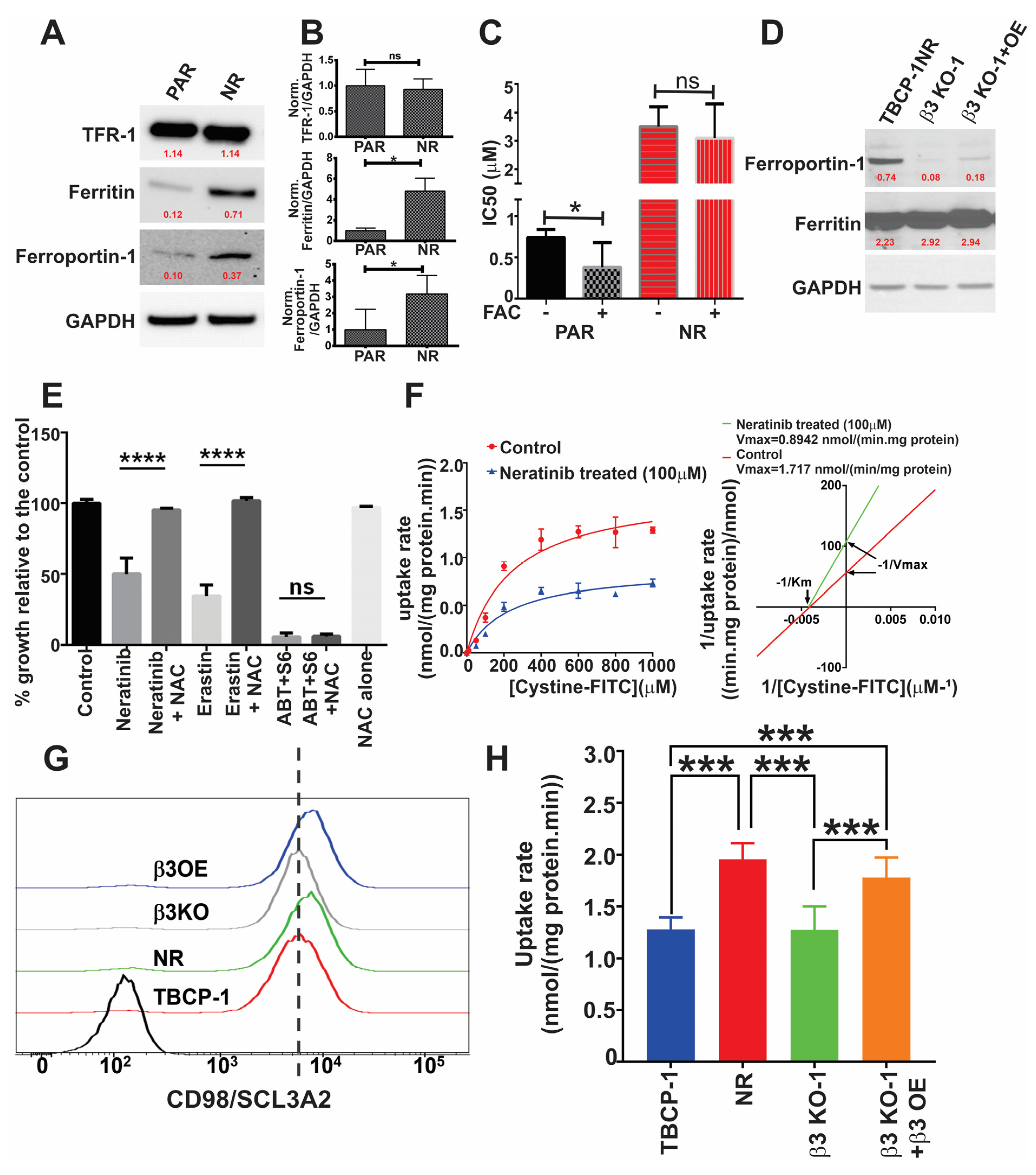 Cancers 15 01216 g005 Cancers 15 01216 g005
