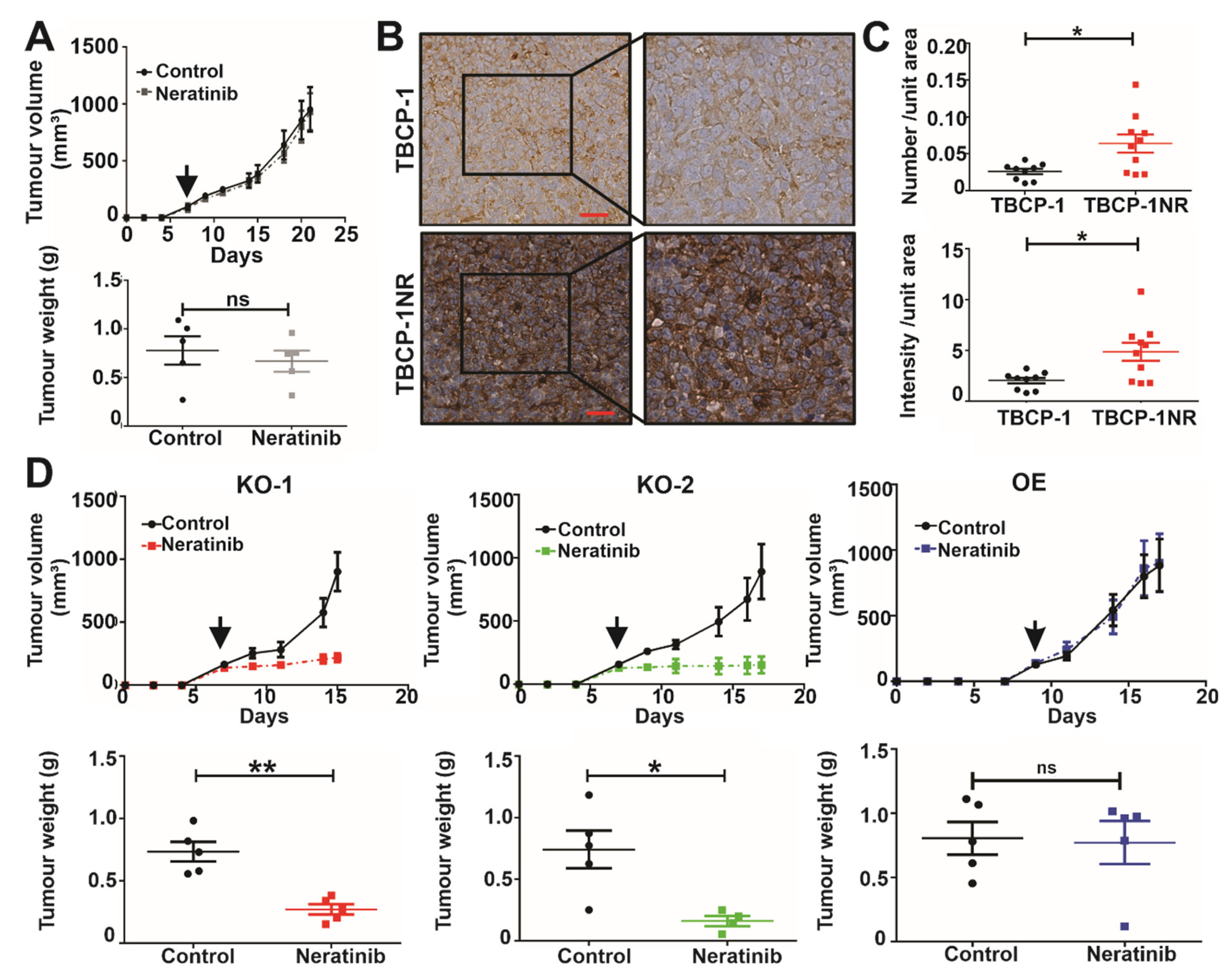 Cancers 15 01216 g006 Cancers 15 01216 g006