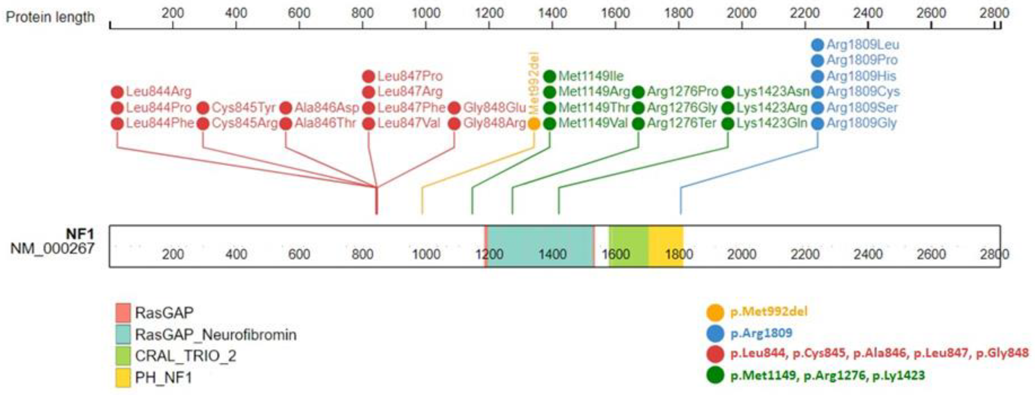 Cancers 15 01217 g006 Cancers 15 01217 g006