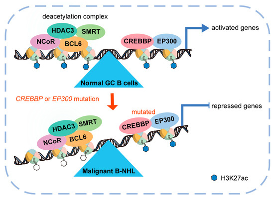 Identification of de novo EP300 and PLAU variants in a patient