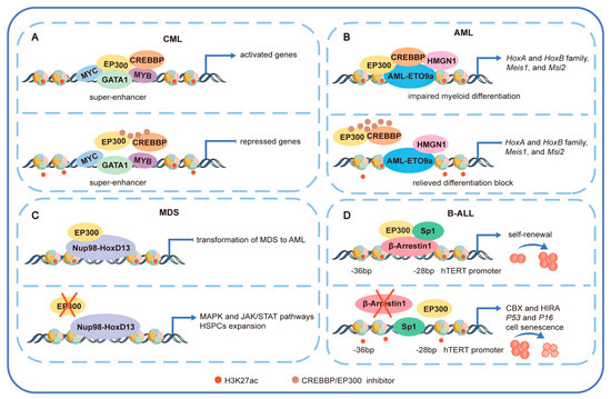 (PDF) Identification of de novo EP300 and PLAU variants in a