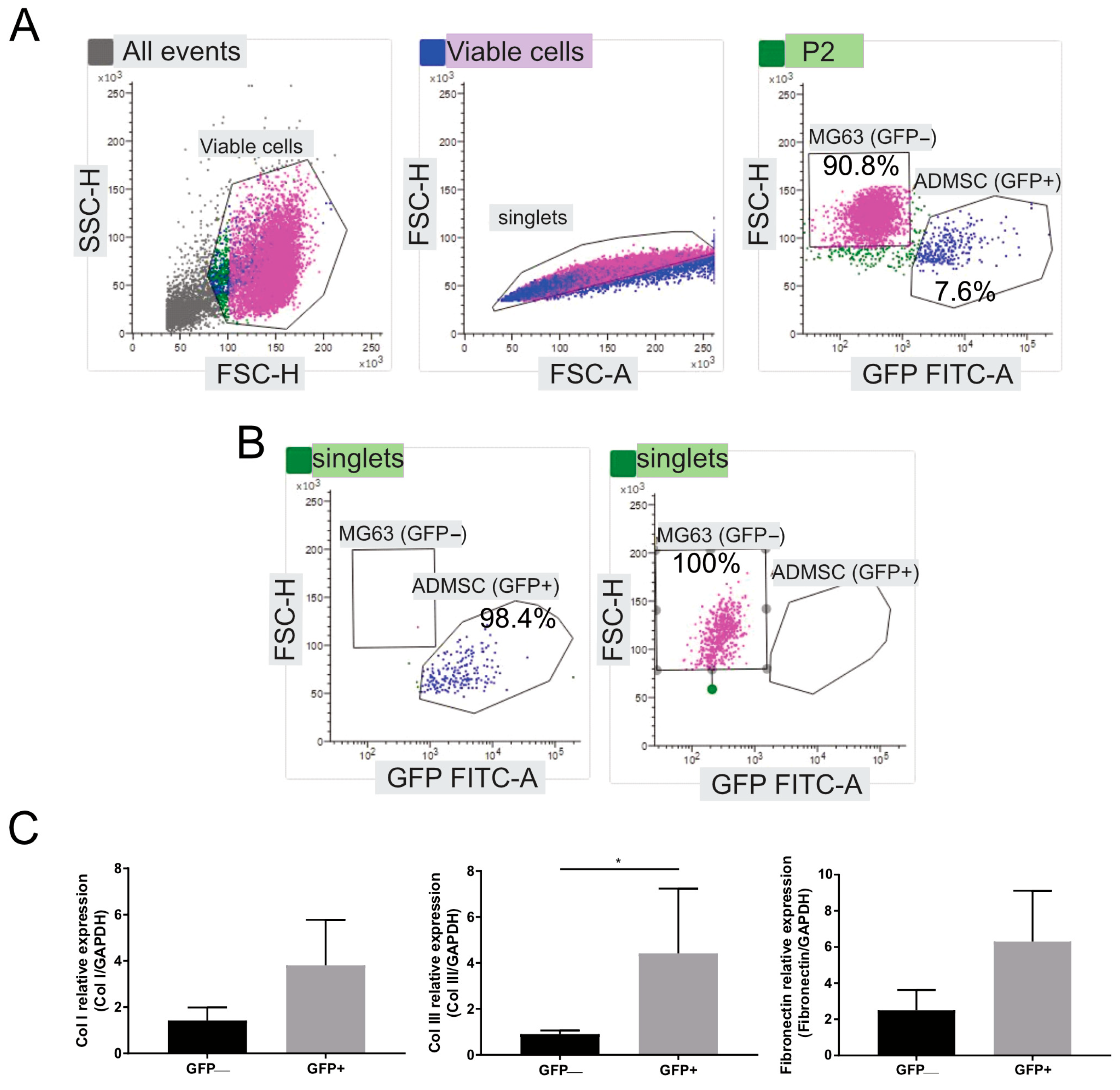 Cancers 15 01221 g004 Cancers 15 01221 g004