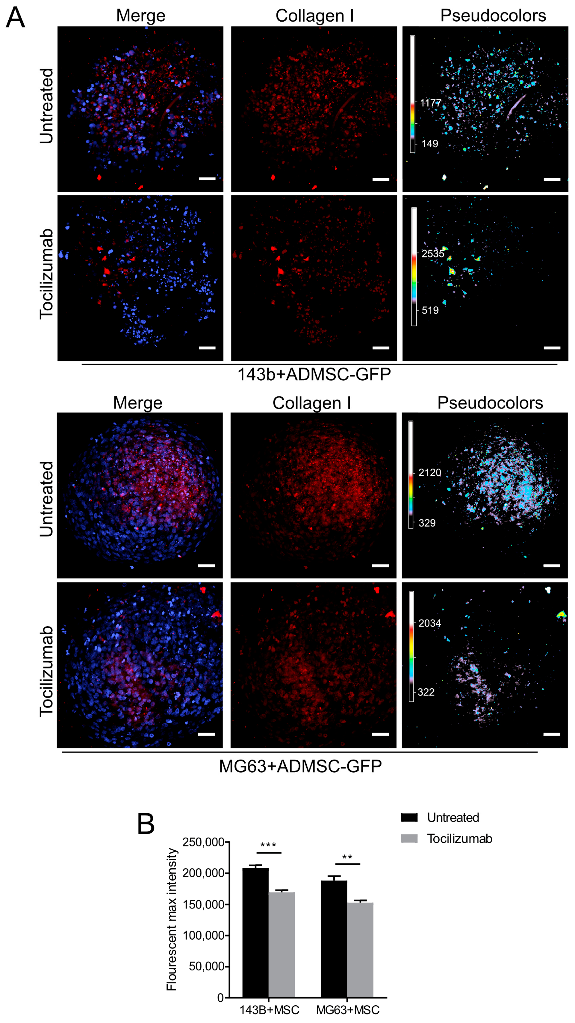 Cancers 15 01221 g005 Cancers 15 01221 g005