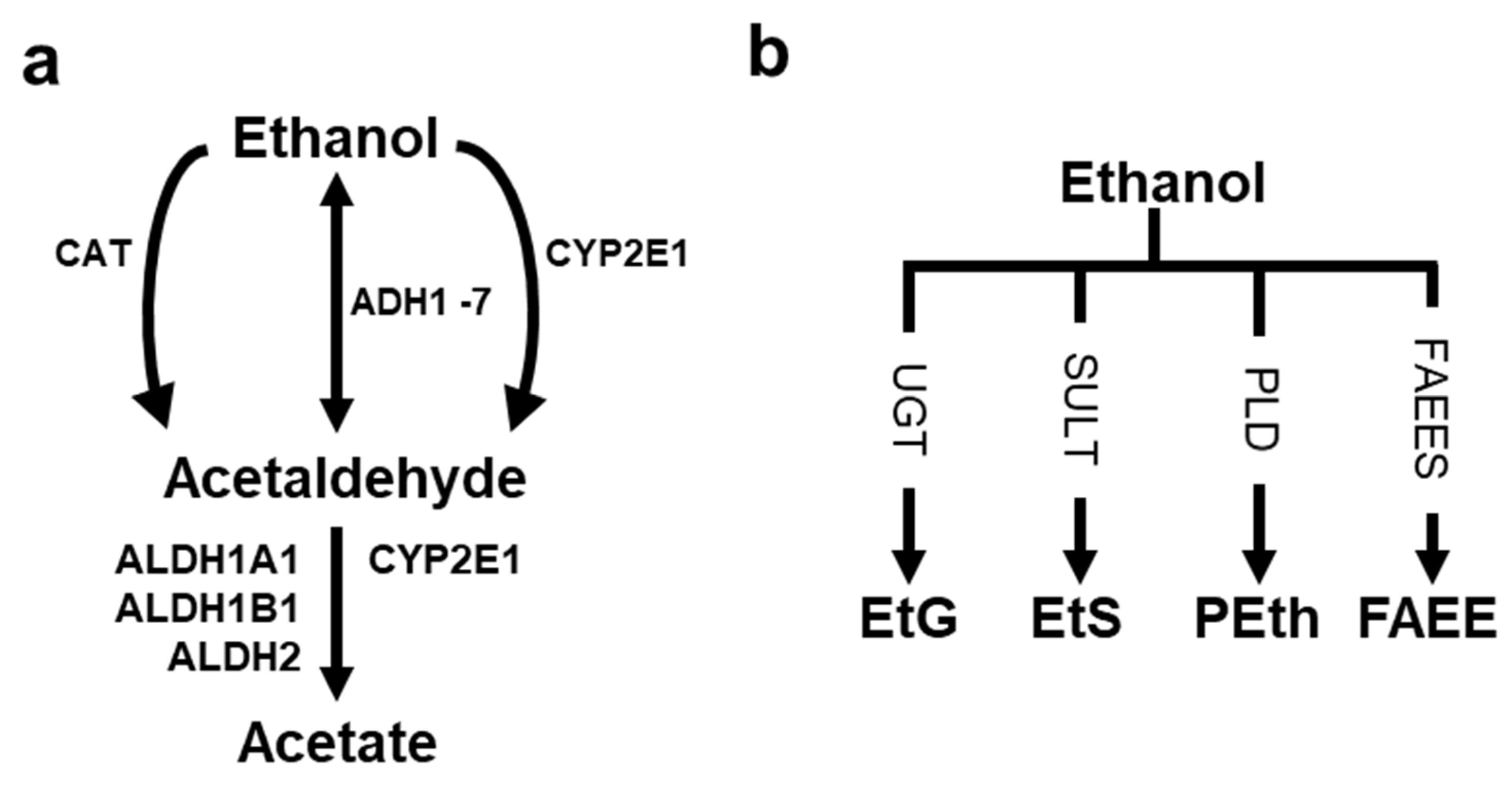 Cancers 15 01258 g002 Cancers 15 01258 g002