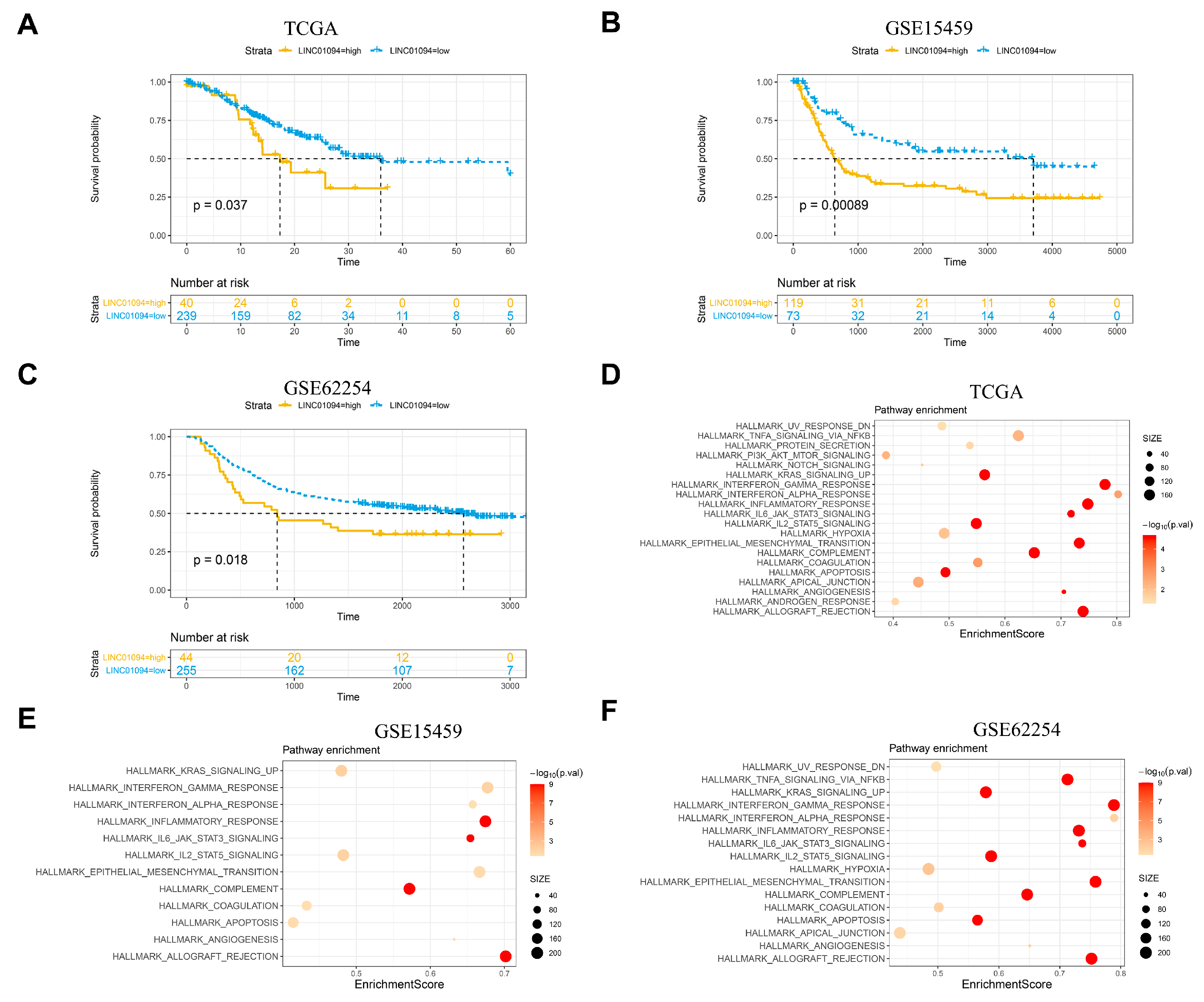 Cancers 15 01261 g003 Cancers 15 01261 g003