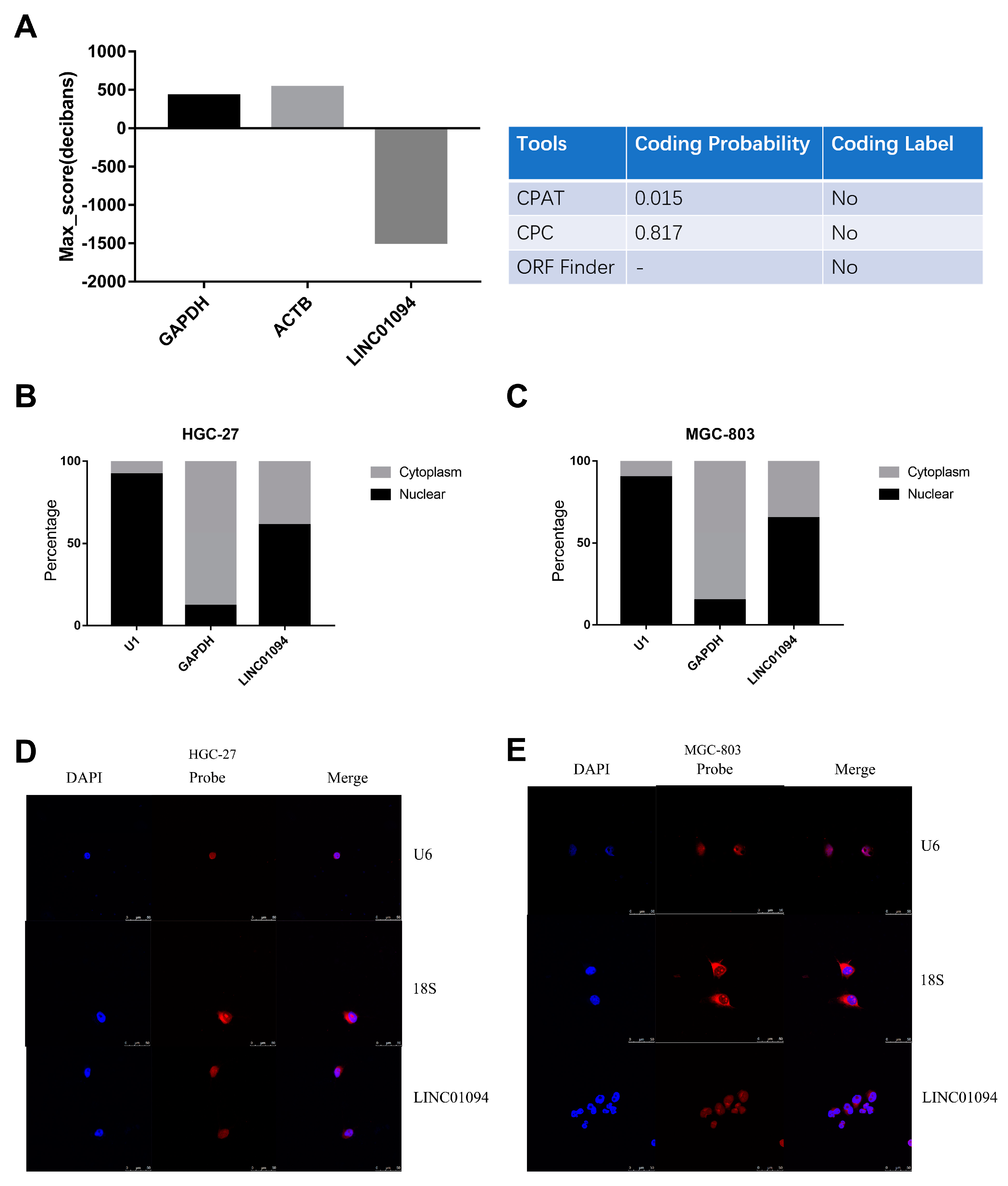 Cancers 15 01261 g005 Cancers 15 01261 g005