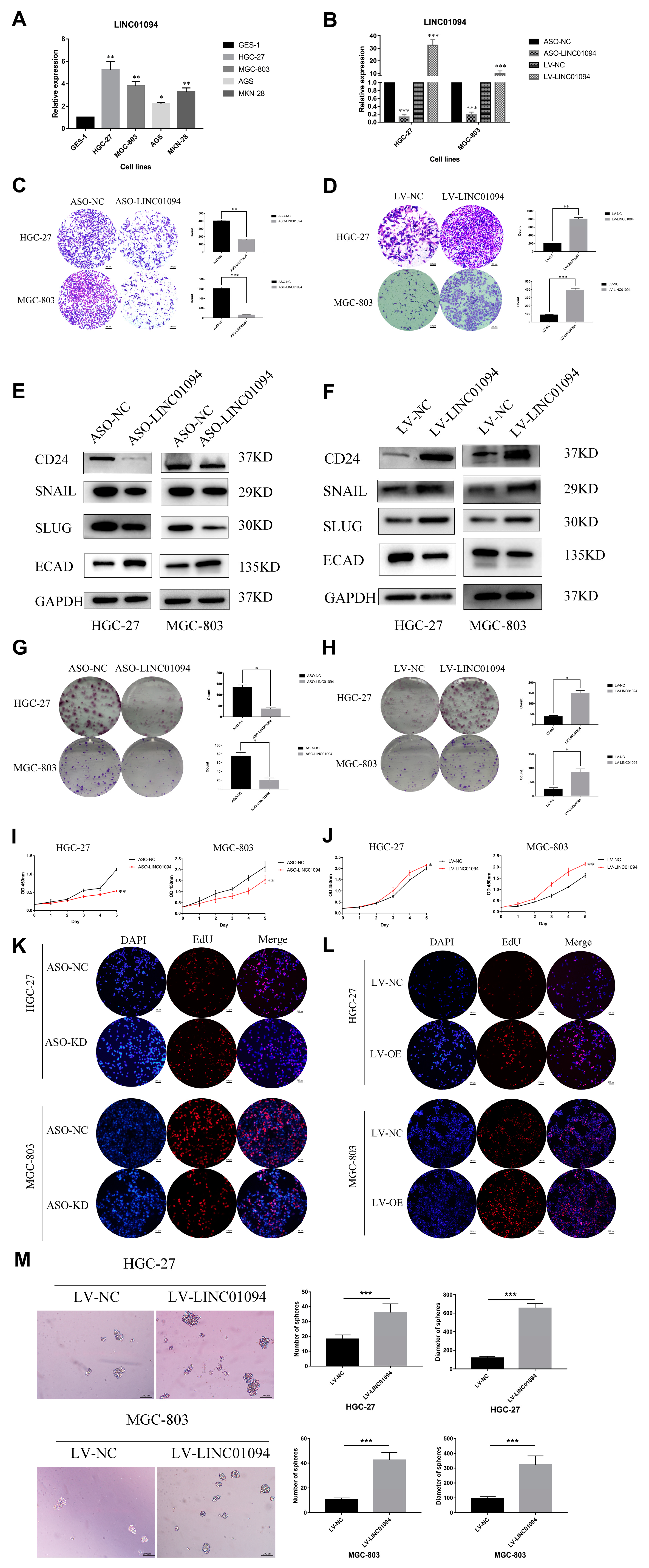 Cancers 15 01261 g006 Cancers 15 01261 g006