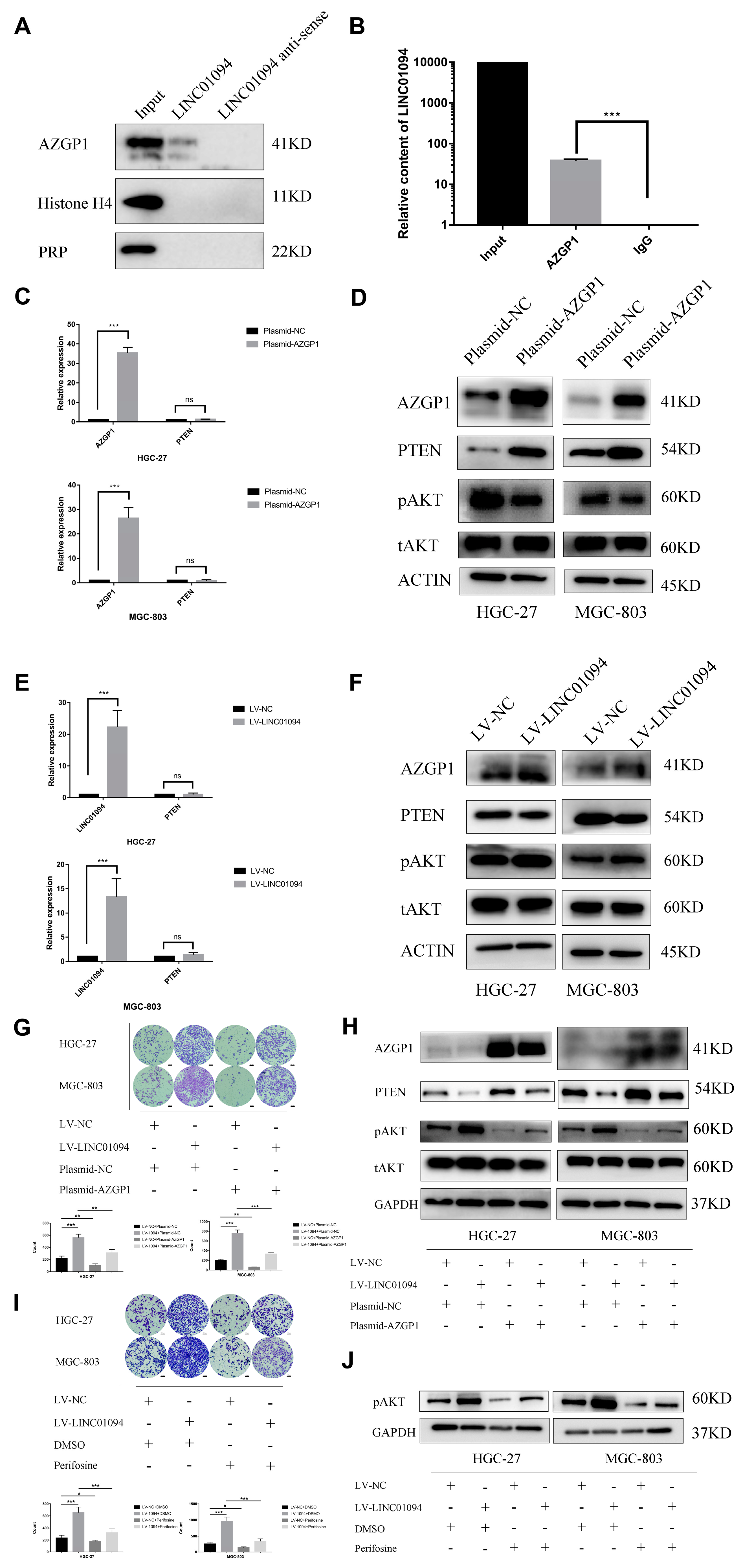 Cancers 15 01261 g008 Cancers 15 01261 g008
