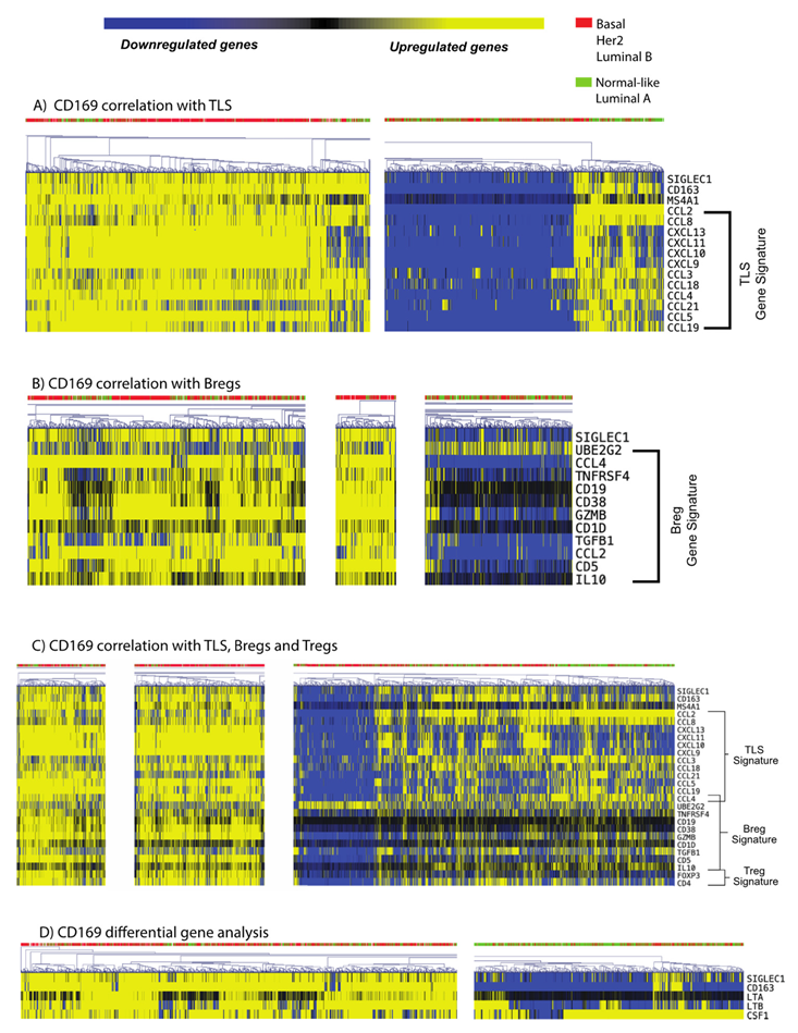 Cancers 15 01262 g004 Cancers 15 01262 g004