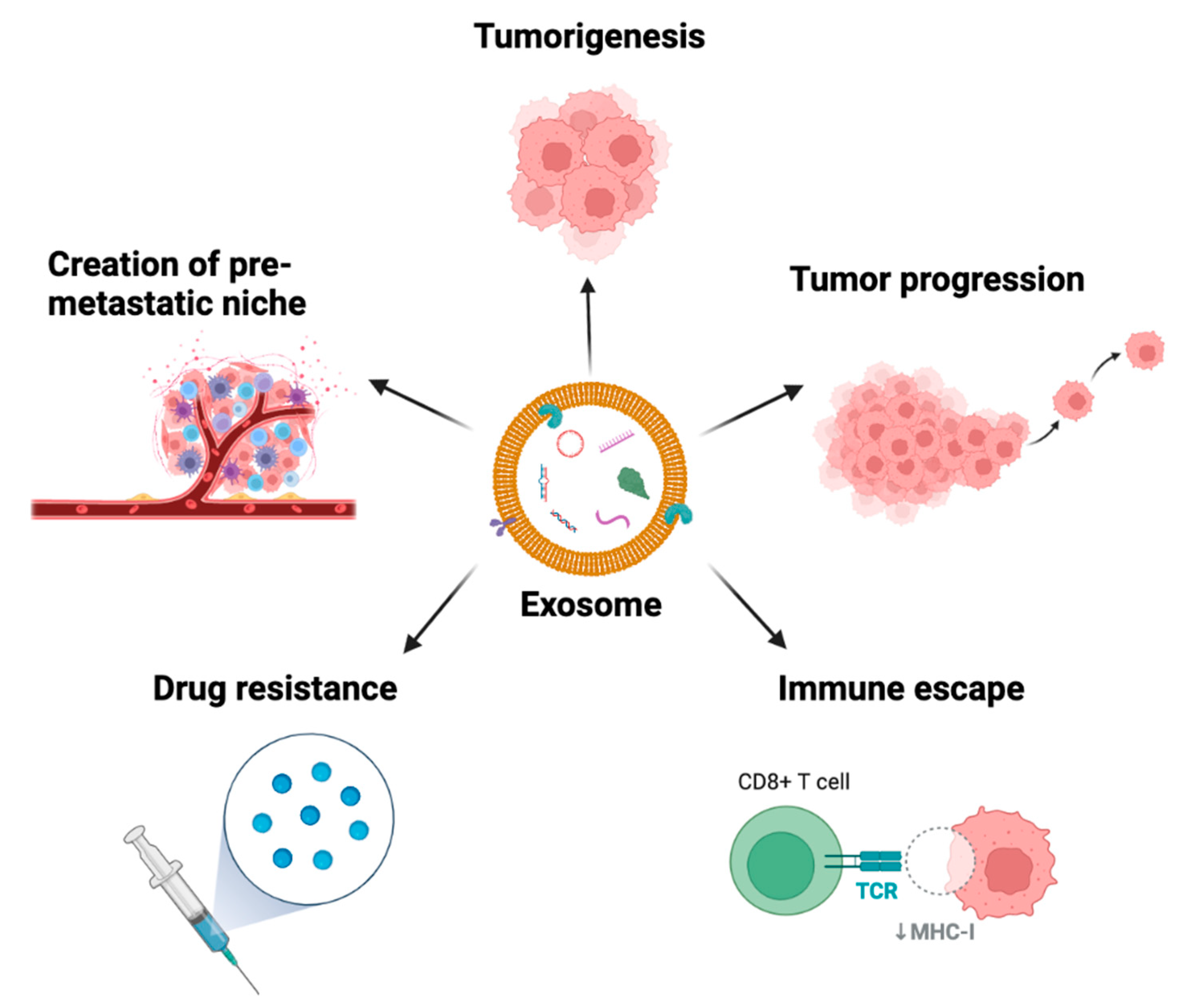 中村 Exosomes as a Source of Biomarkers for Gastrointestinal Cancers