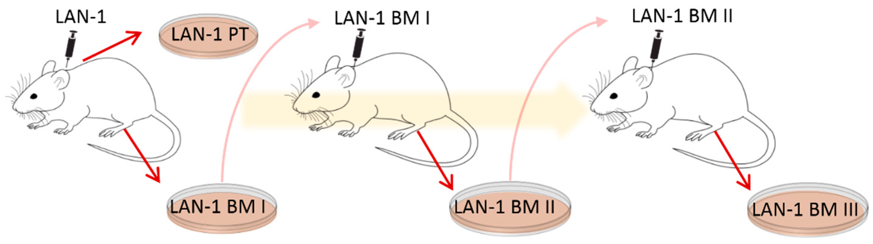 Cancers 15 01274 g001