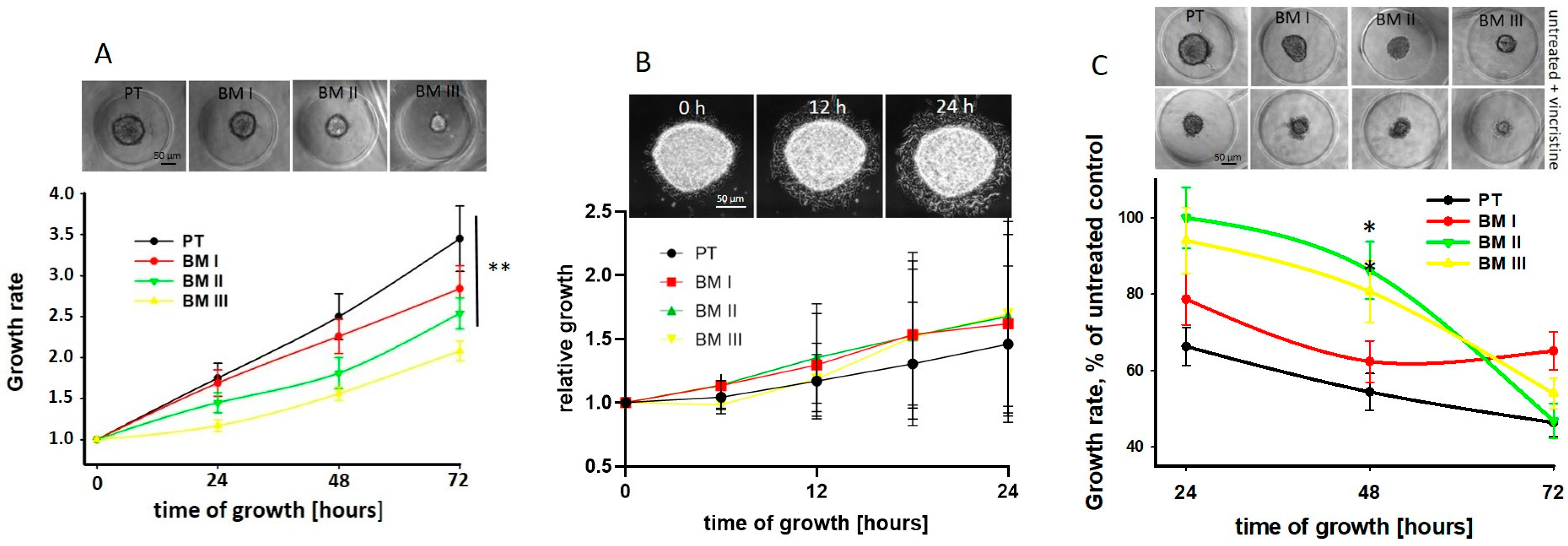 Cancers 15 01274 g005