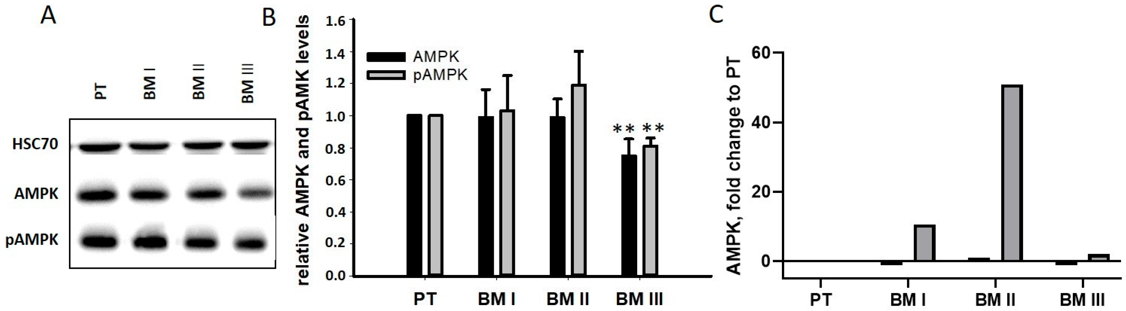 Cancers 15 01274 g008