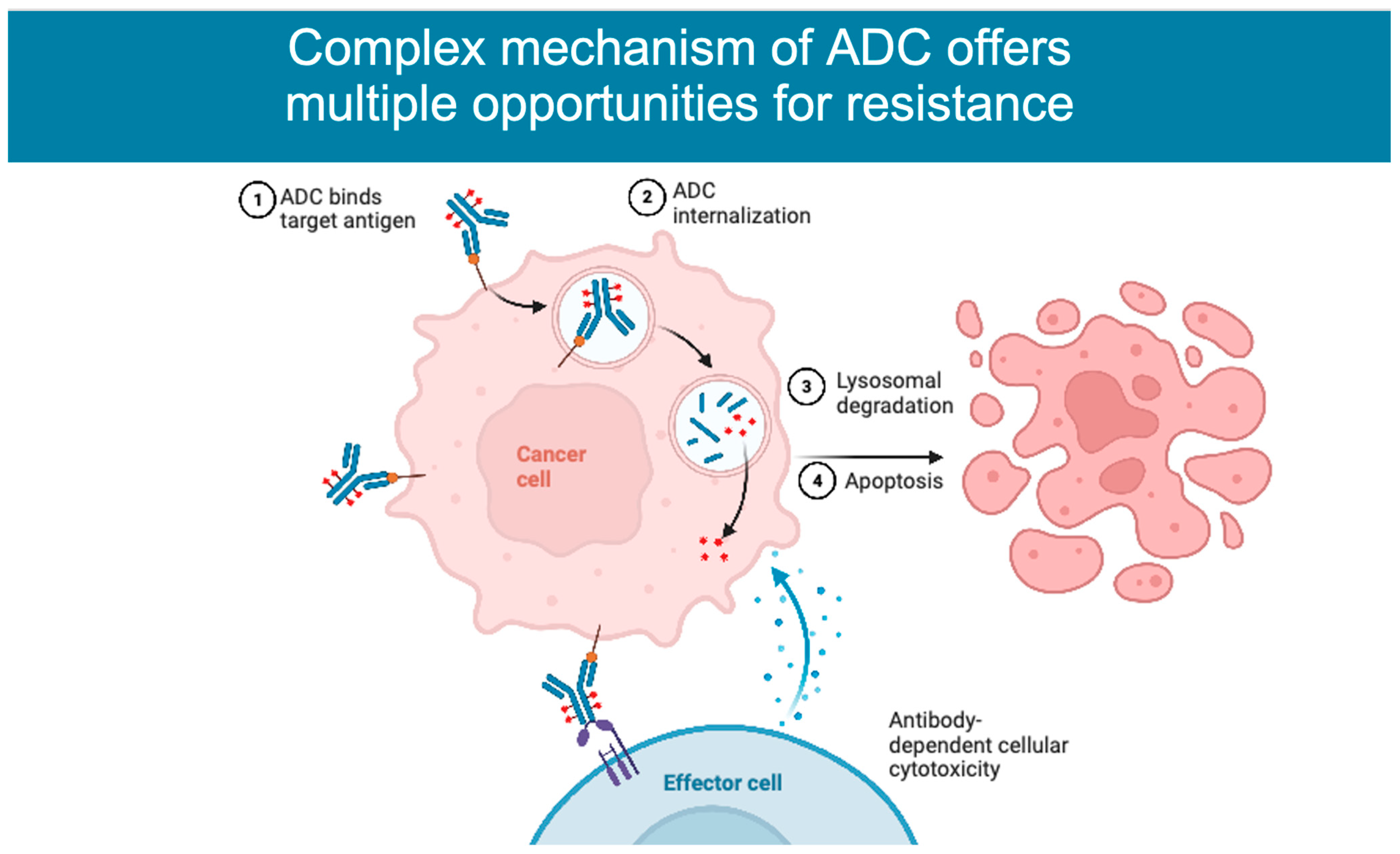 Cancers 15 01278 g002 Cancers 15 01278 g002