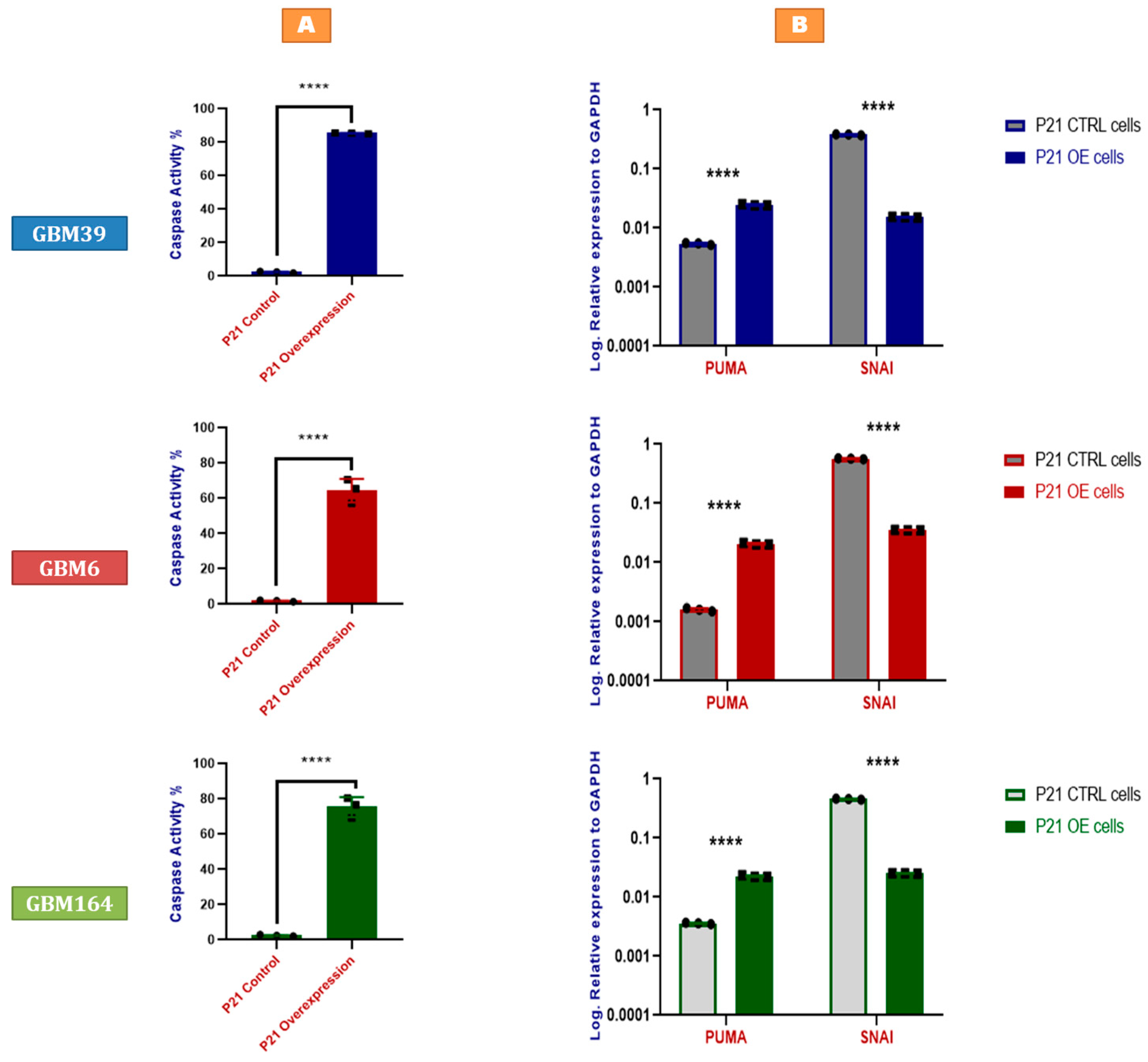 Cancers 15 01279 g003 Cancers 15 01279 g003