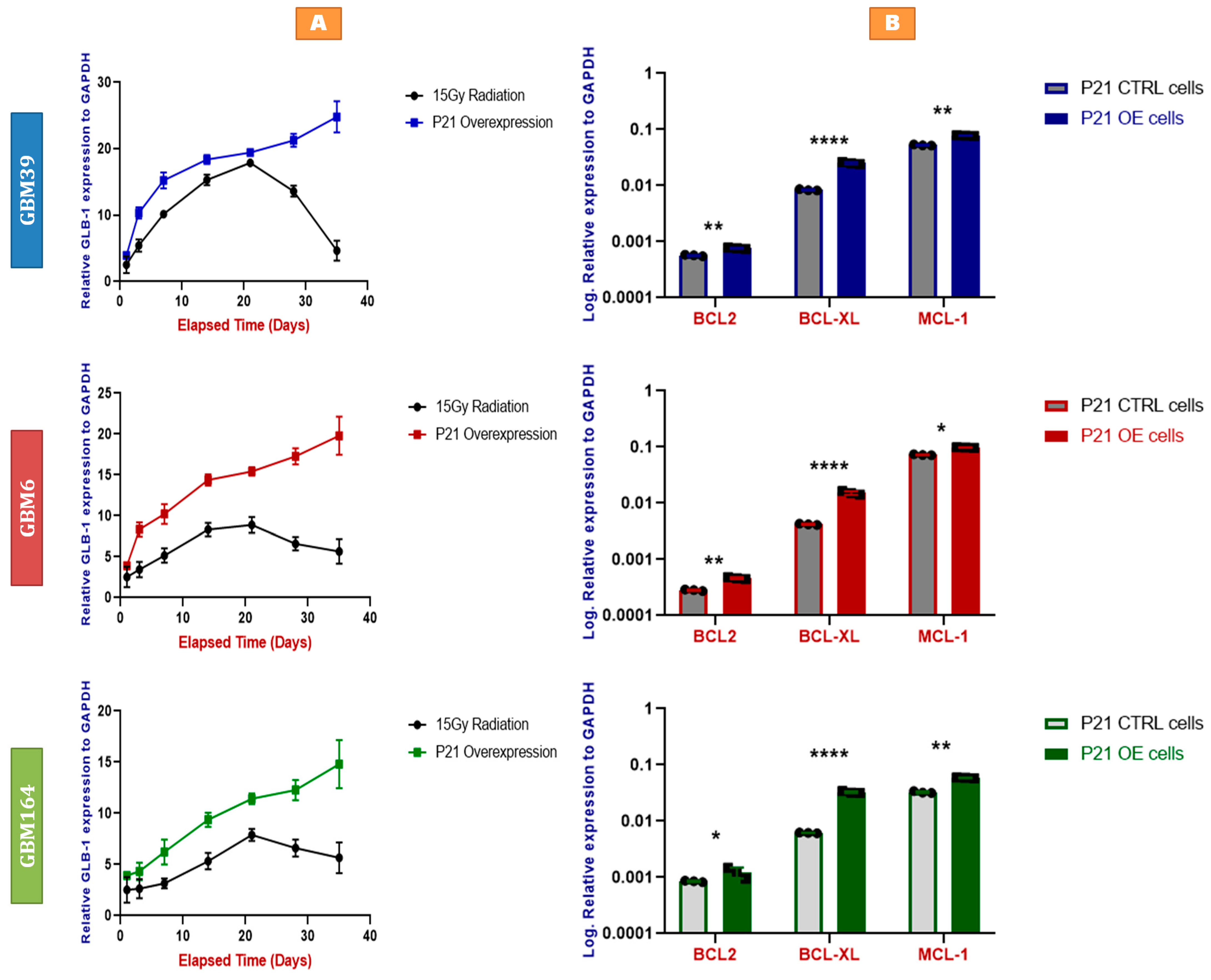 Cancers 15 01279 g005 Cancers 15 01279 g005