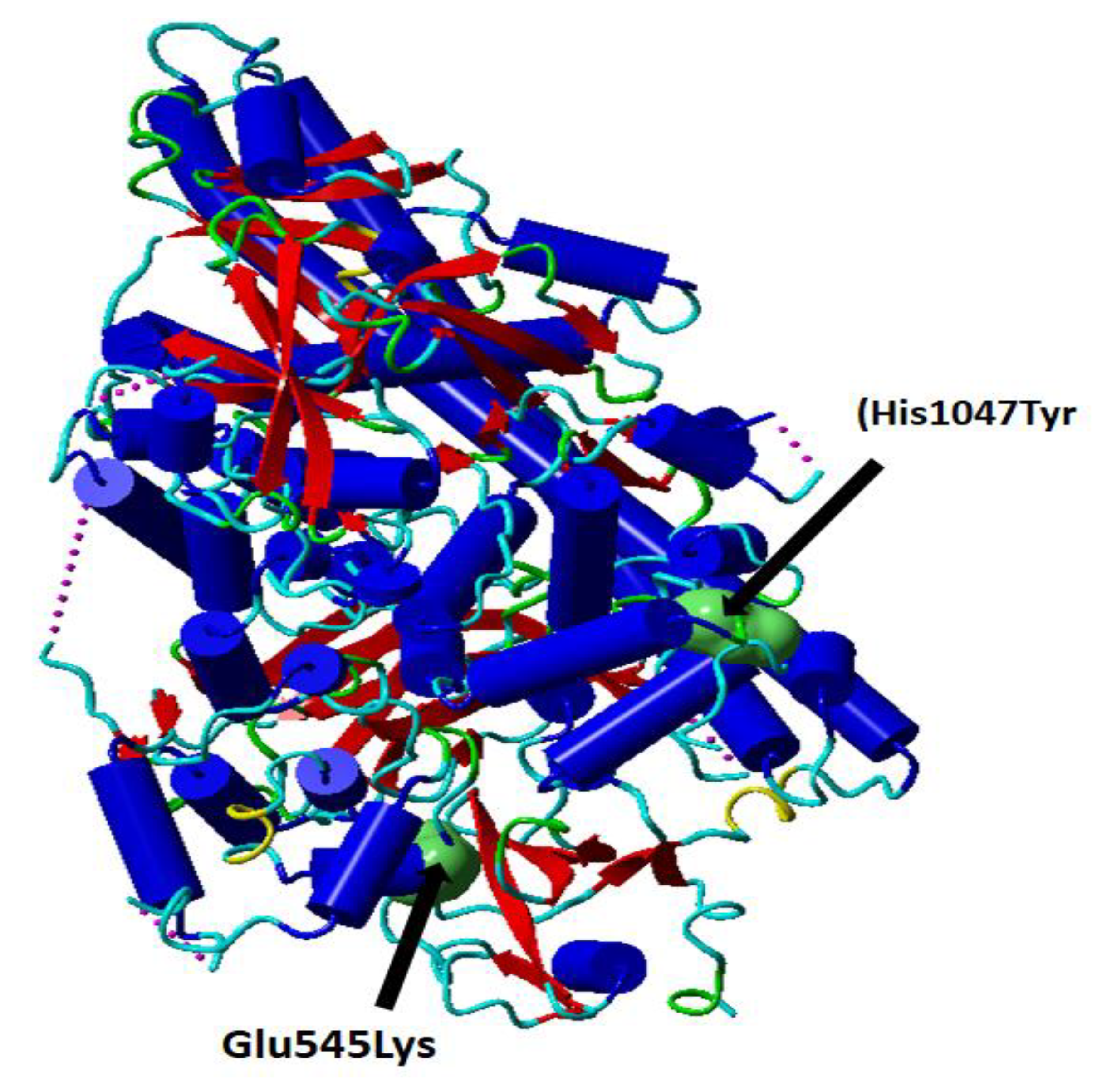 Cancers 15 01281 g001