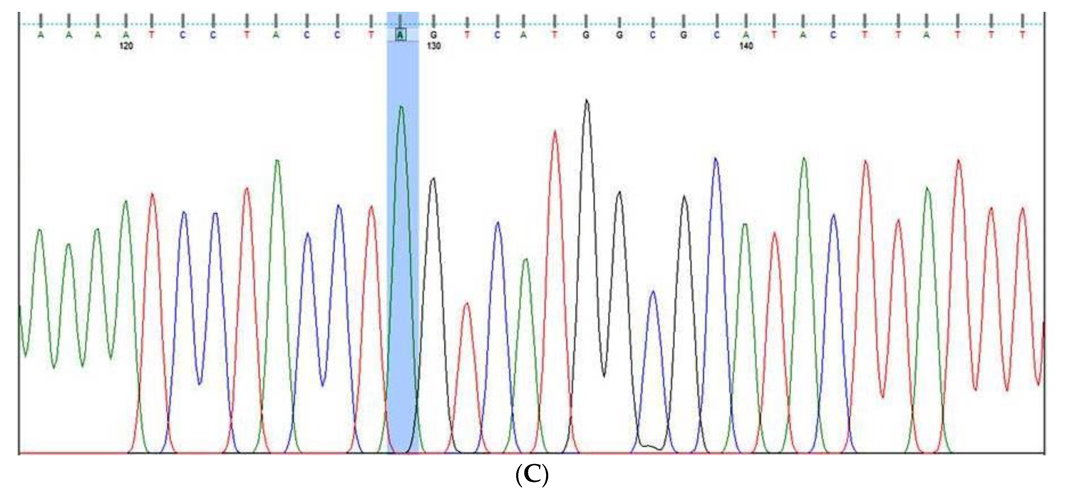 Cancers 15 01281 g002b