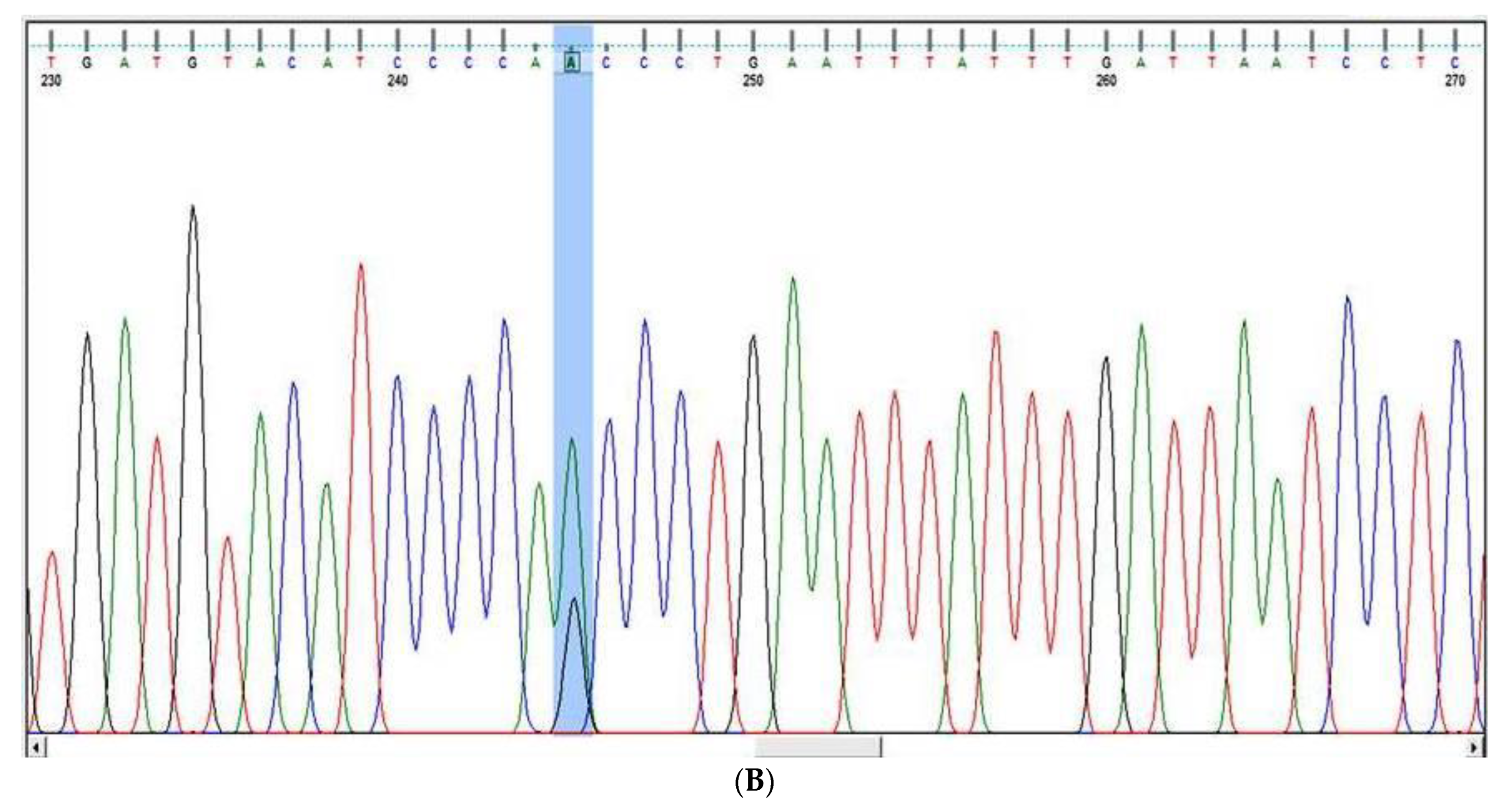 Cancers 15 01281 g003b