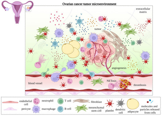 Cancers, Free Full-Text