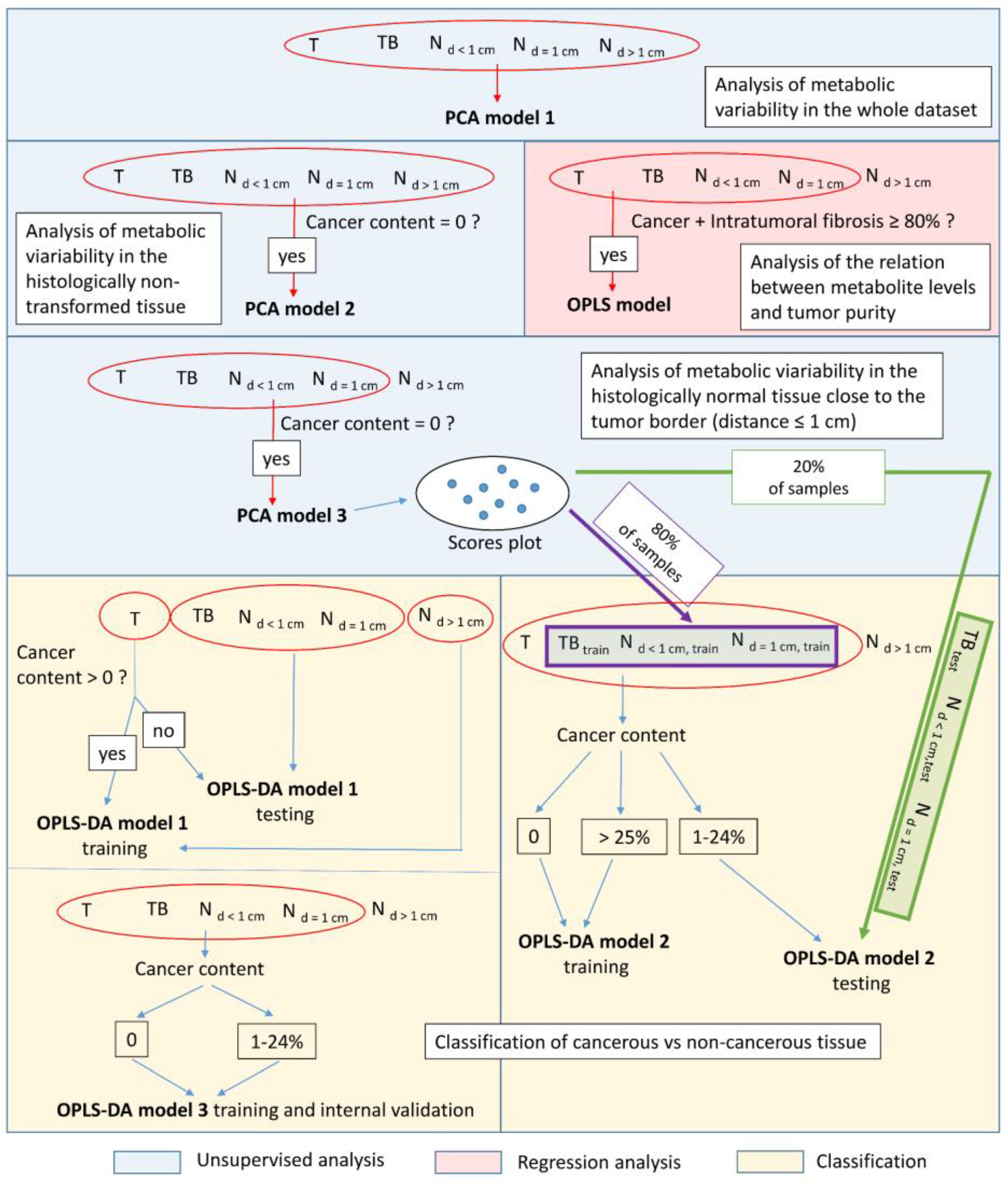 Cancers 15 01283 g001 Cancers 15 01283 g001
