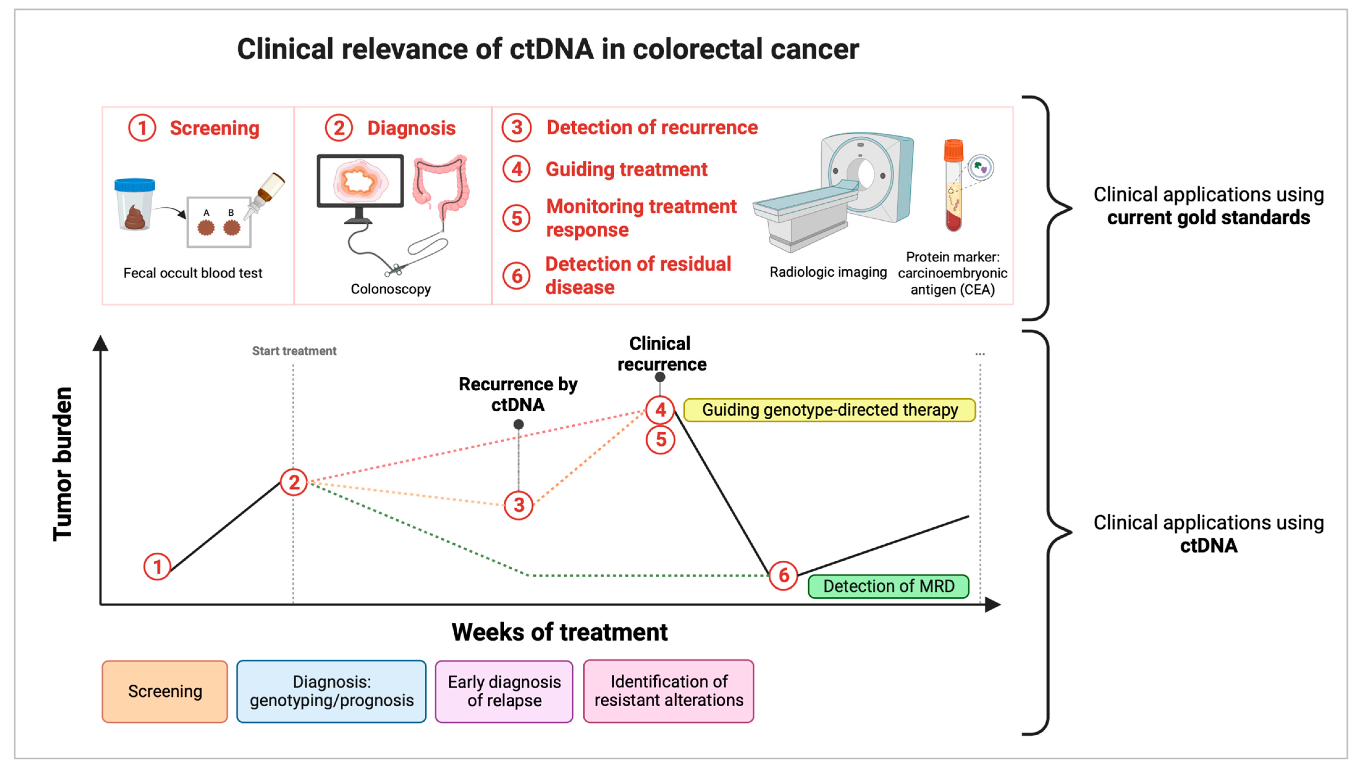 Cancers 15 01284 g001 Cancers 15 01284 g001