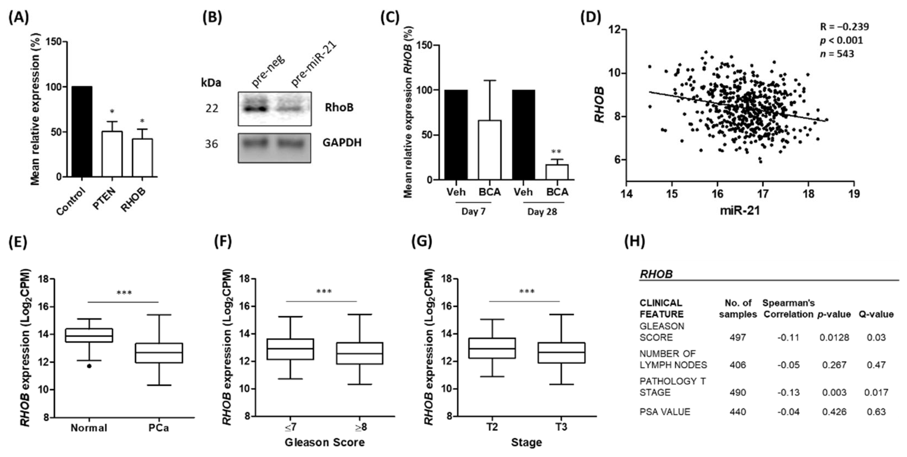 Cancers 15 01291 g003 Cancers 15 01291 g003