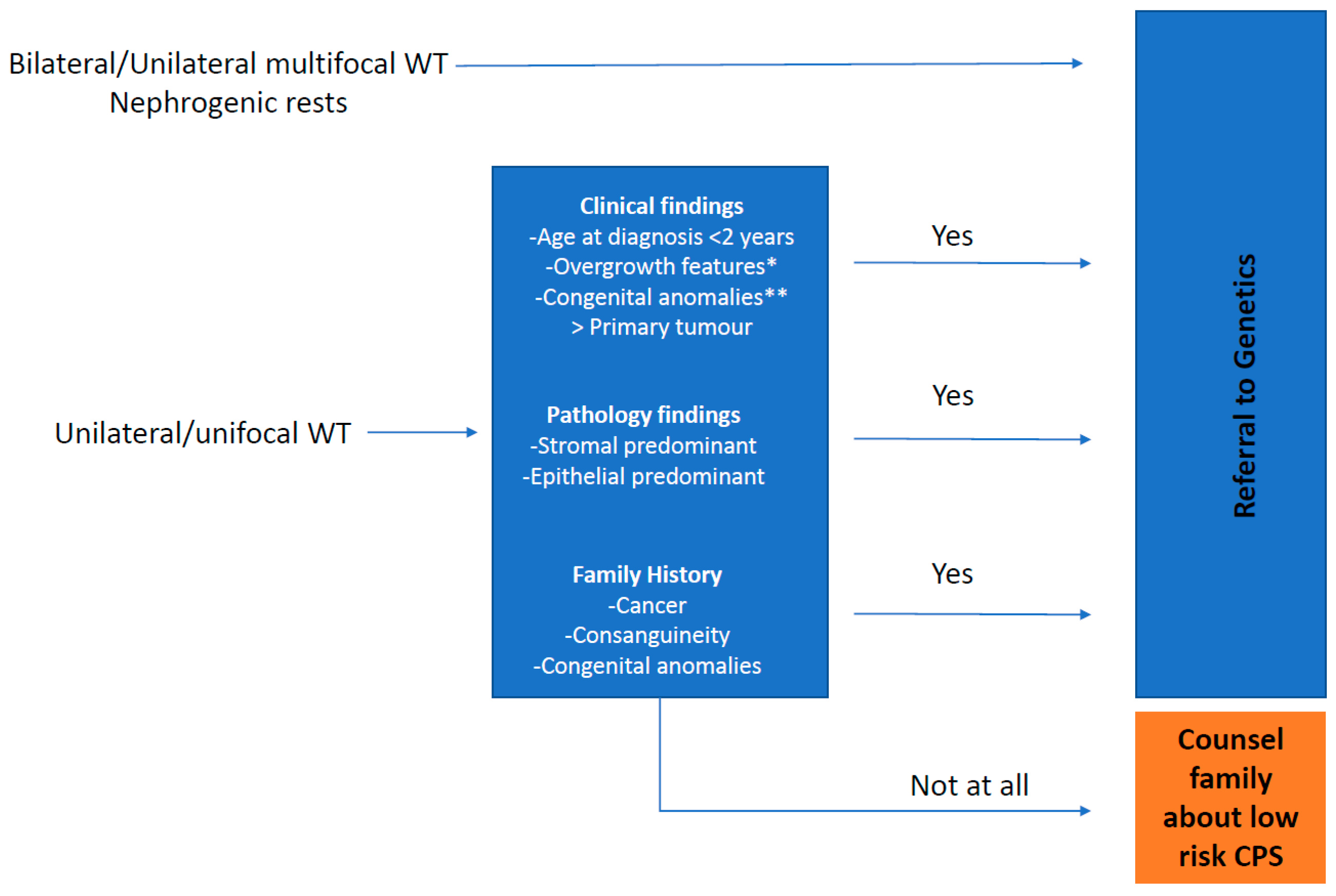 Cancers 15 01292 g001 Cancers 15 01292 g001