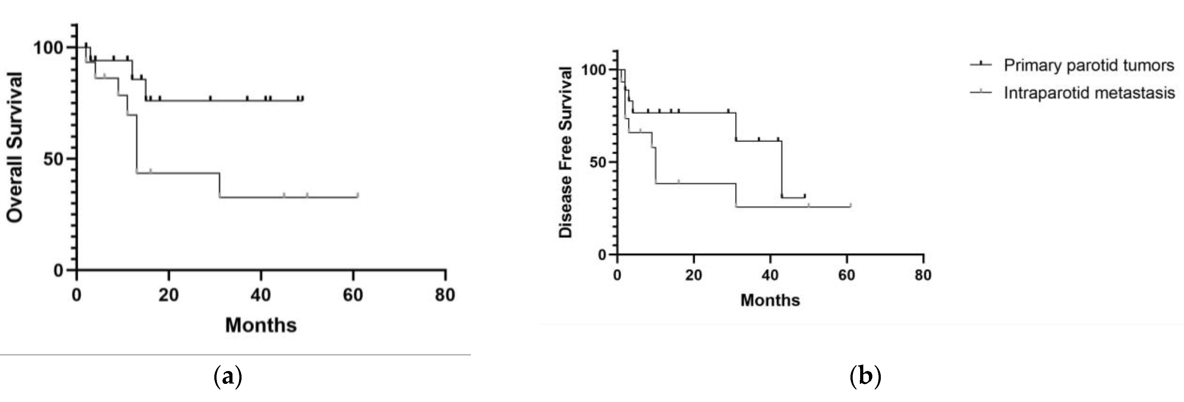 Cancers 15 01293 g003 Cancers 15 01293 g003