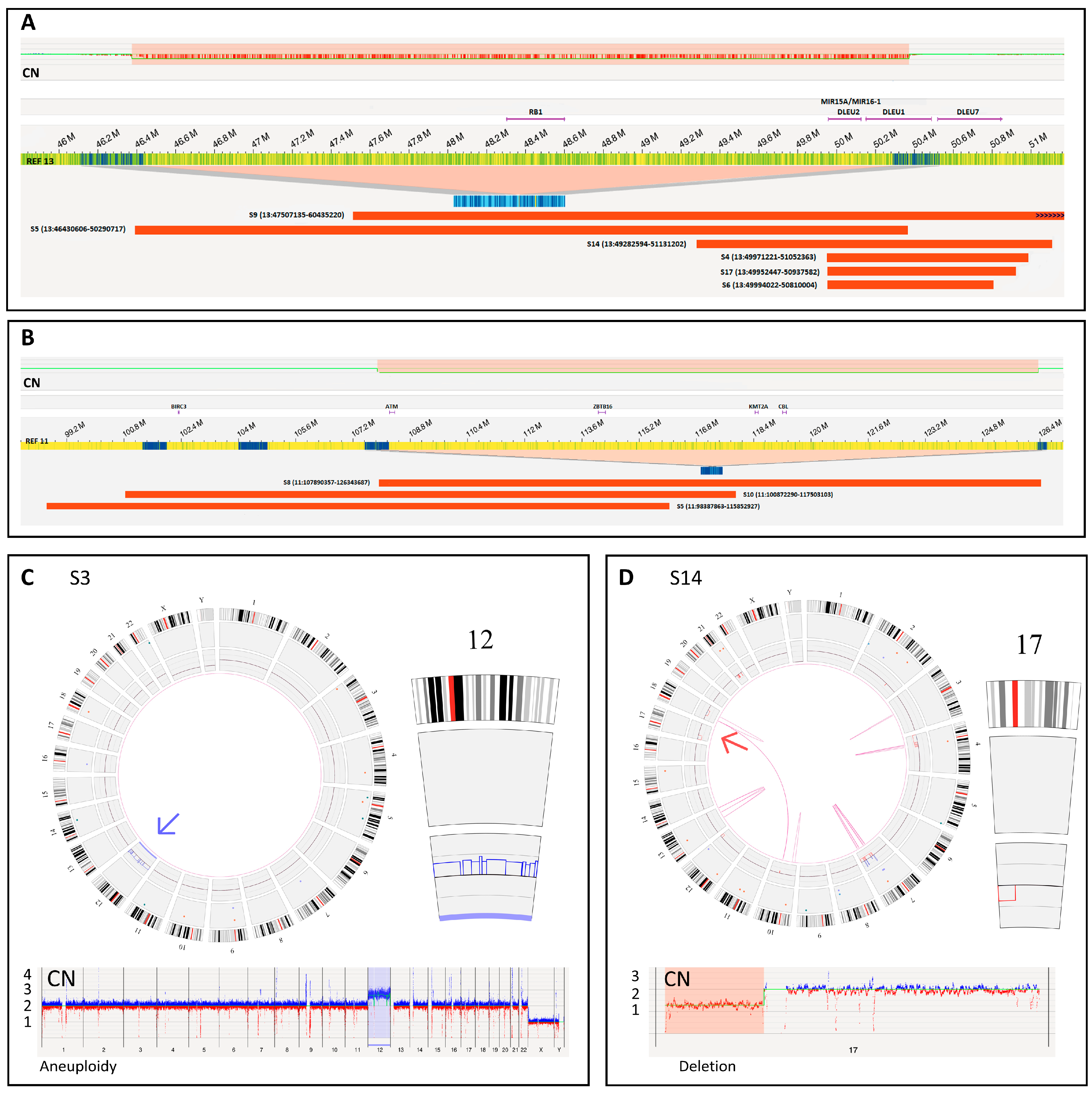 Cancers 15 01294 g001