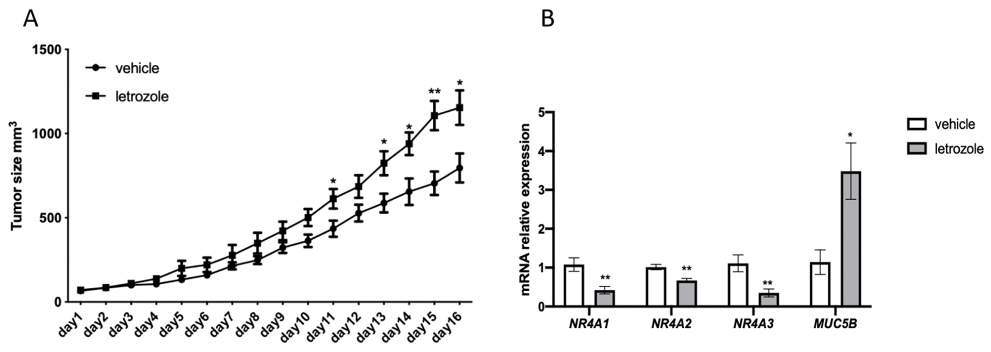 Cancers 15 01298 g007