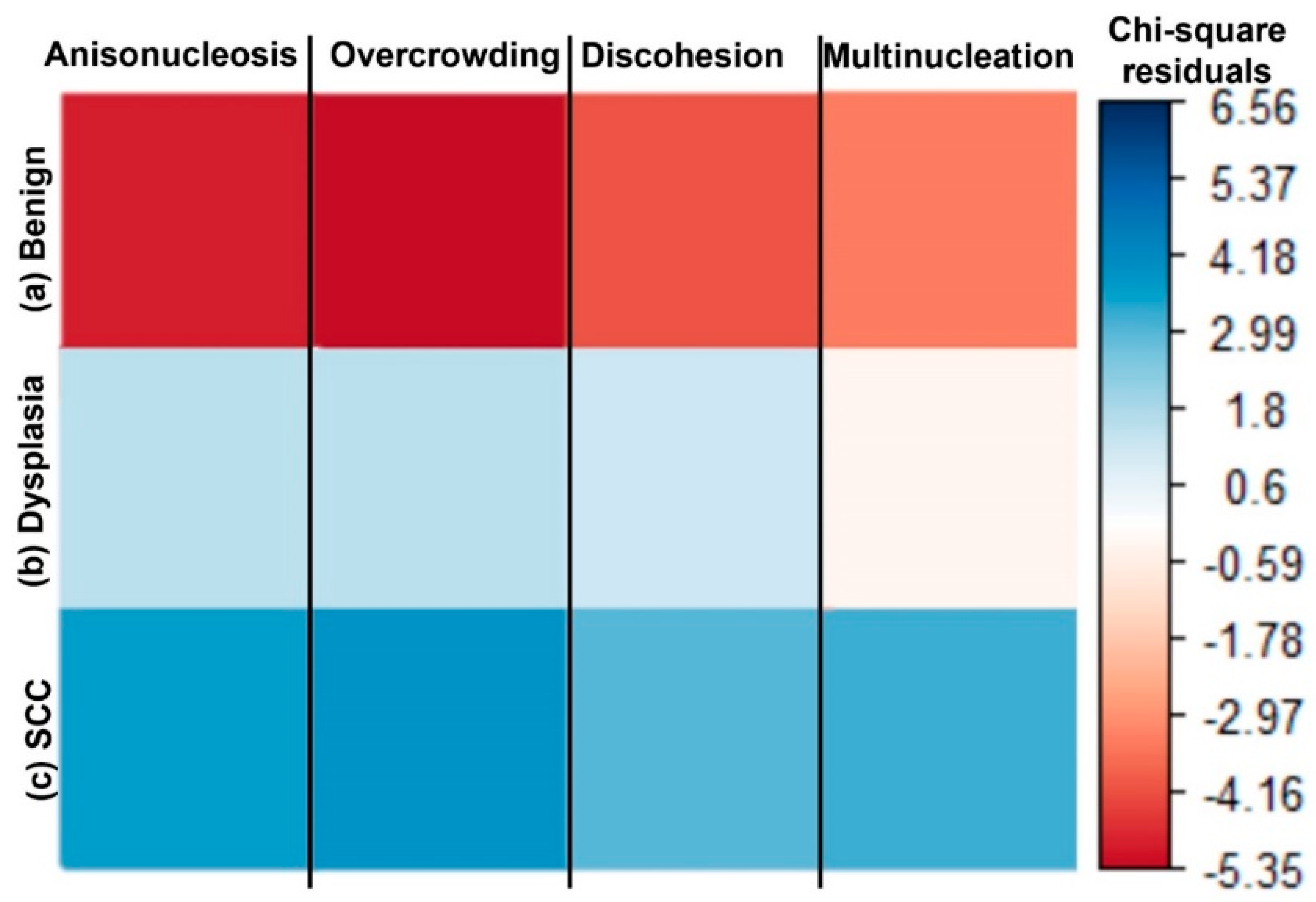 Cancers 15 01302 g003 Cancers 15 01302 g003
