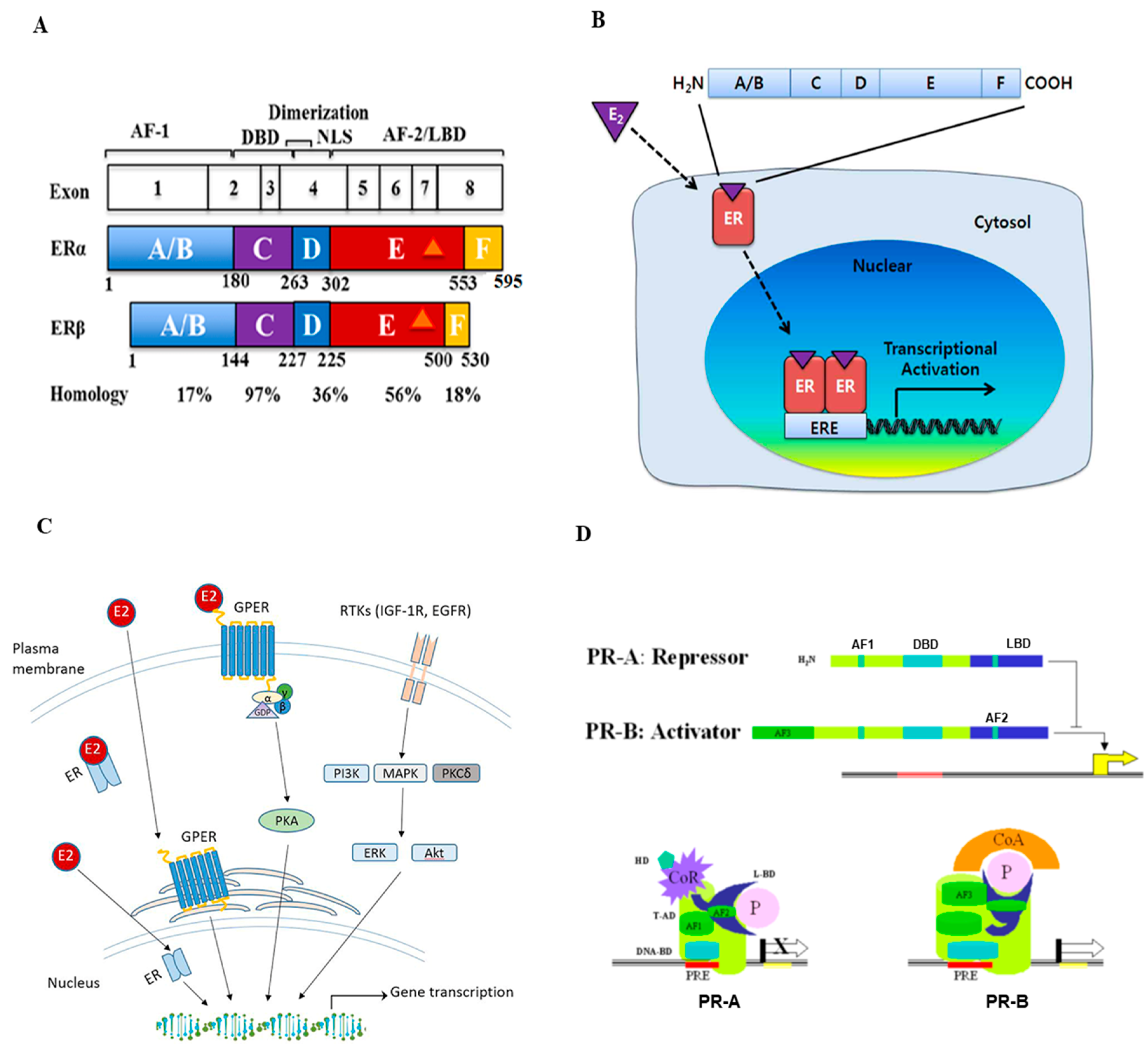 Cancers 15 01303 g001 Cancers 15 01303 g001
