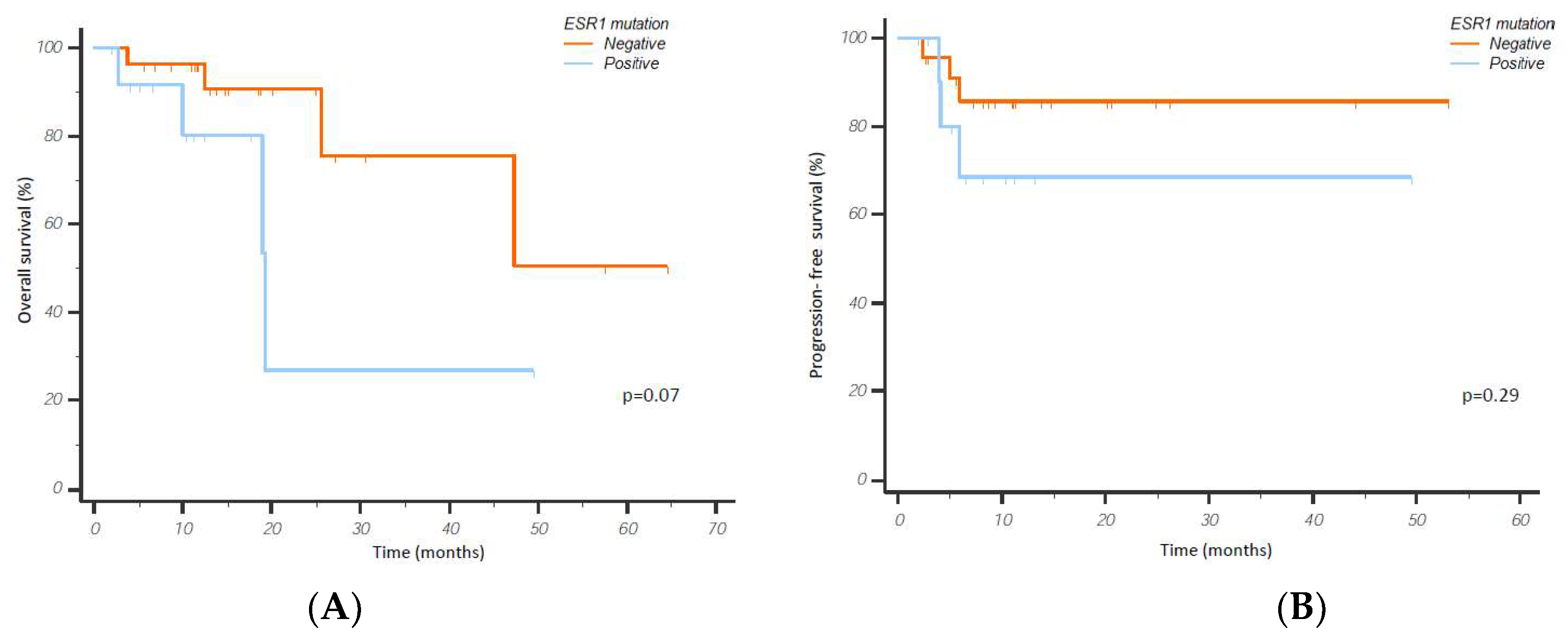Cancers 15 01306 g003 Cancers 15 01306 g003