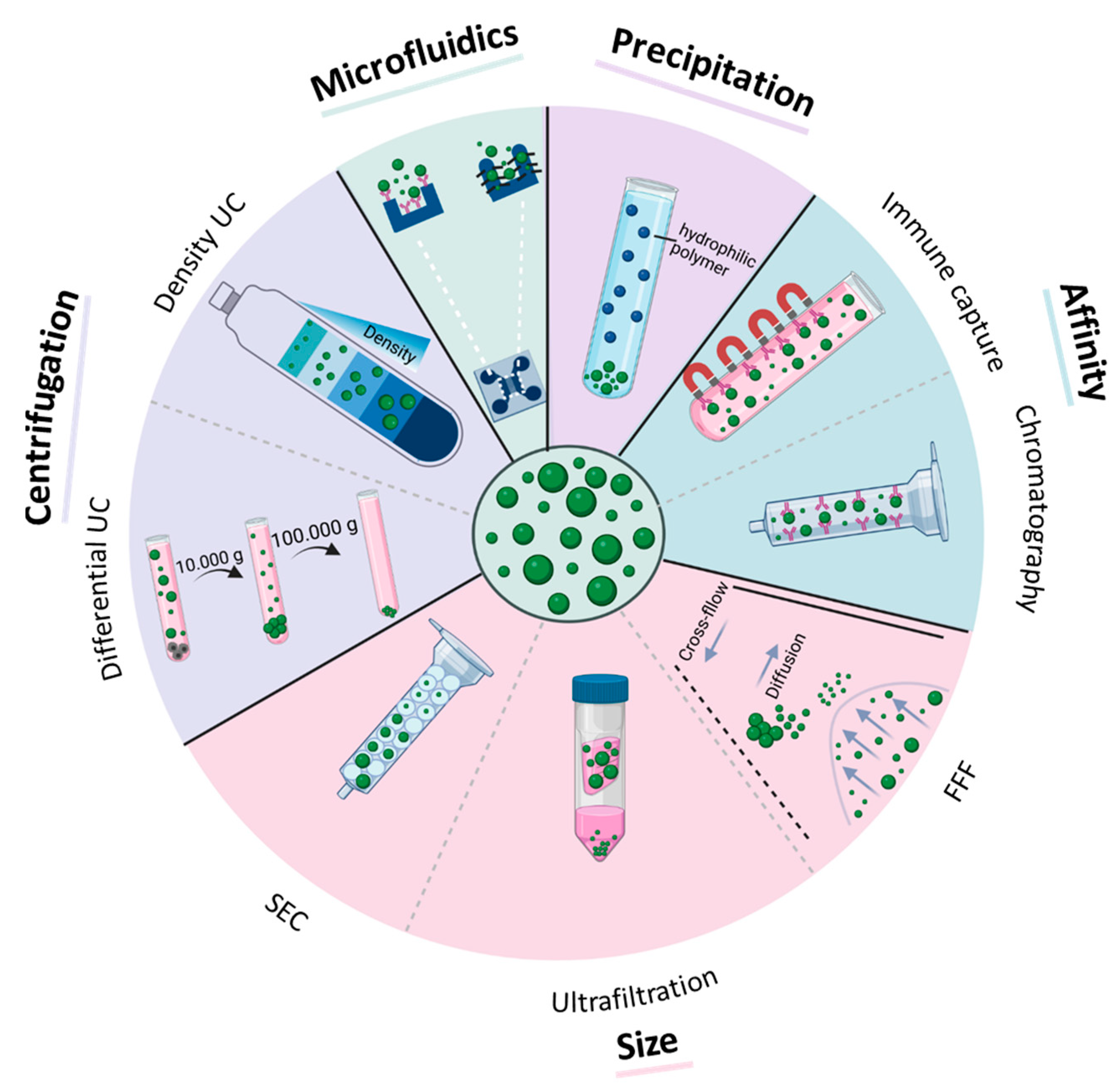 Cancers 15 01307 g002 Cancers 15 01307 g002
