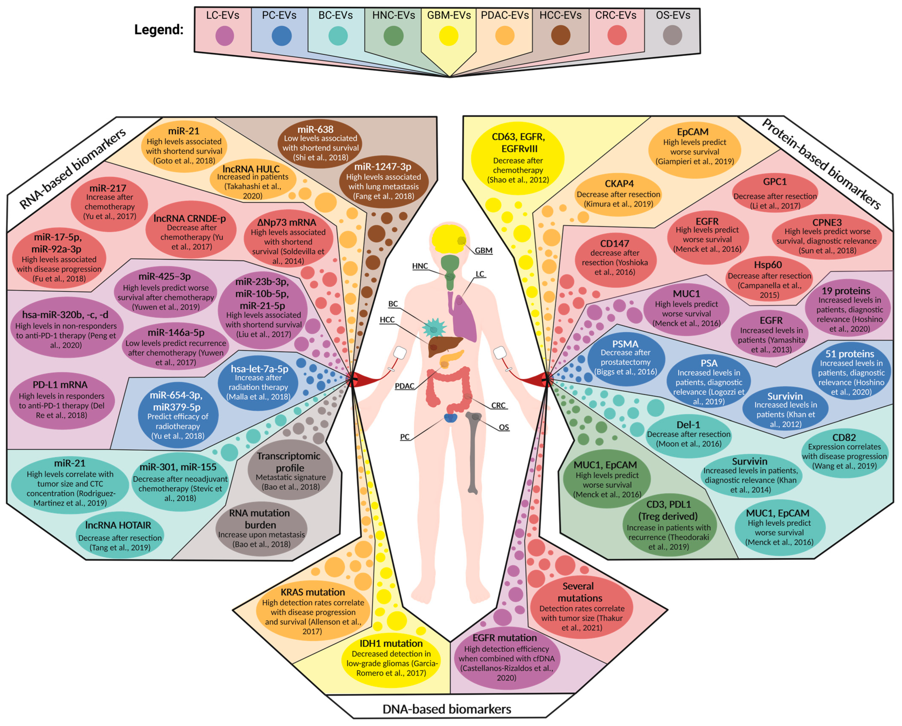 Cancers 15 01307 g003 Cancers 15 01307 g003