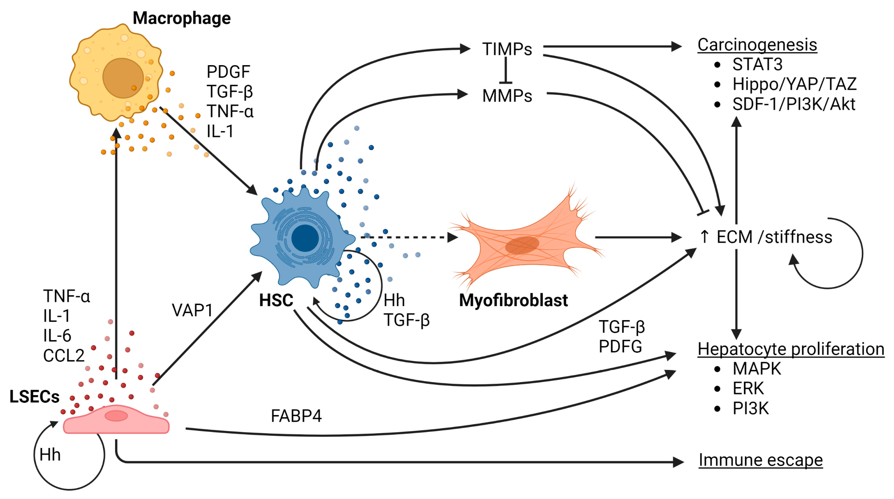 Cancers 15 01308 g002 Cancers 15 01308 g002