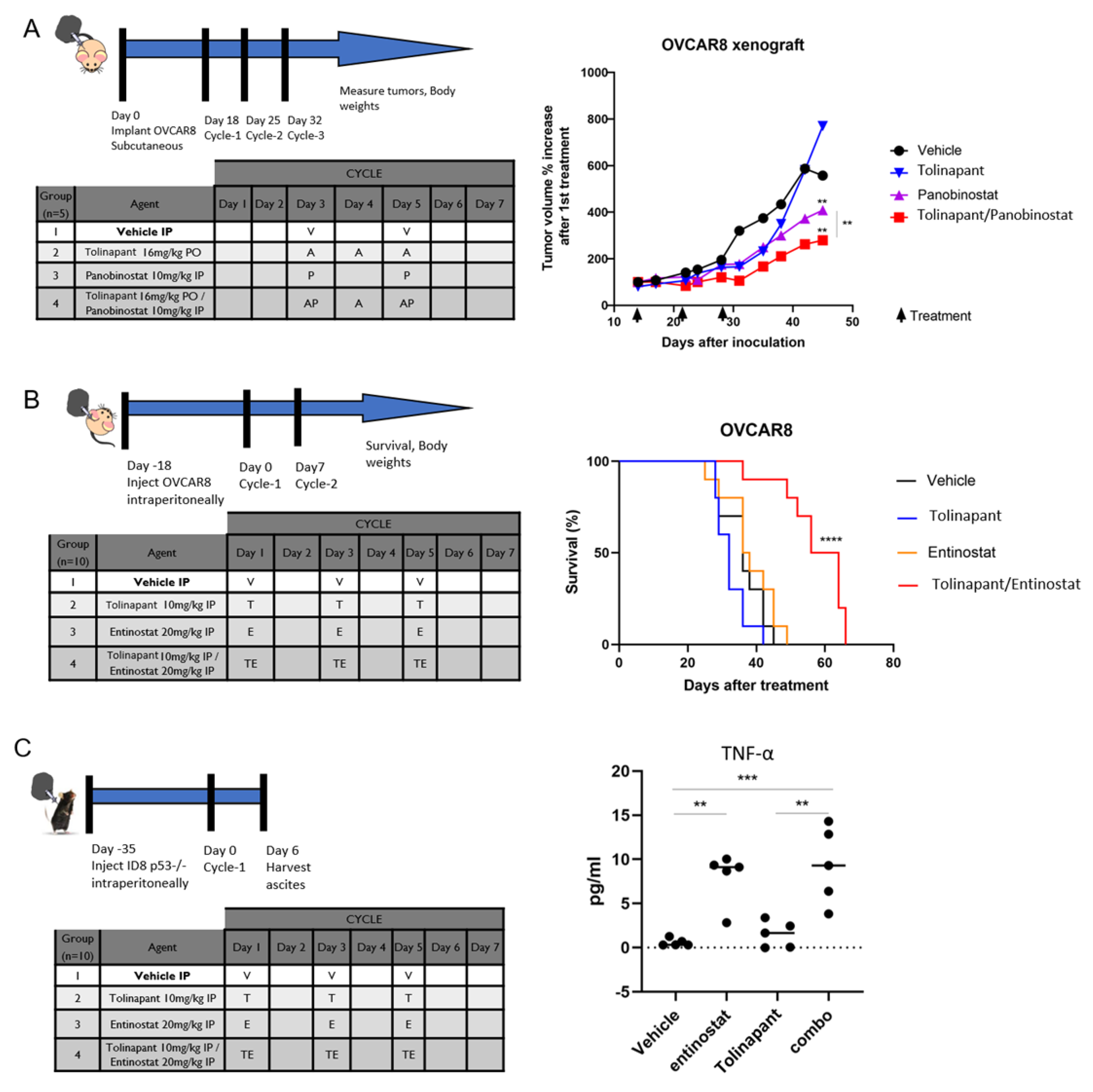 Cancers 15 01315 g006