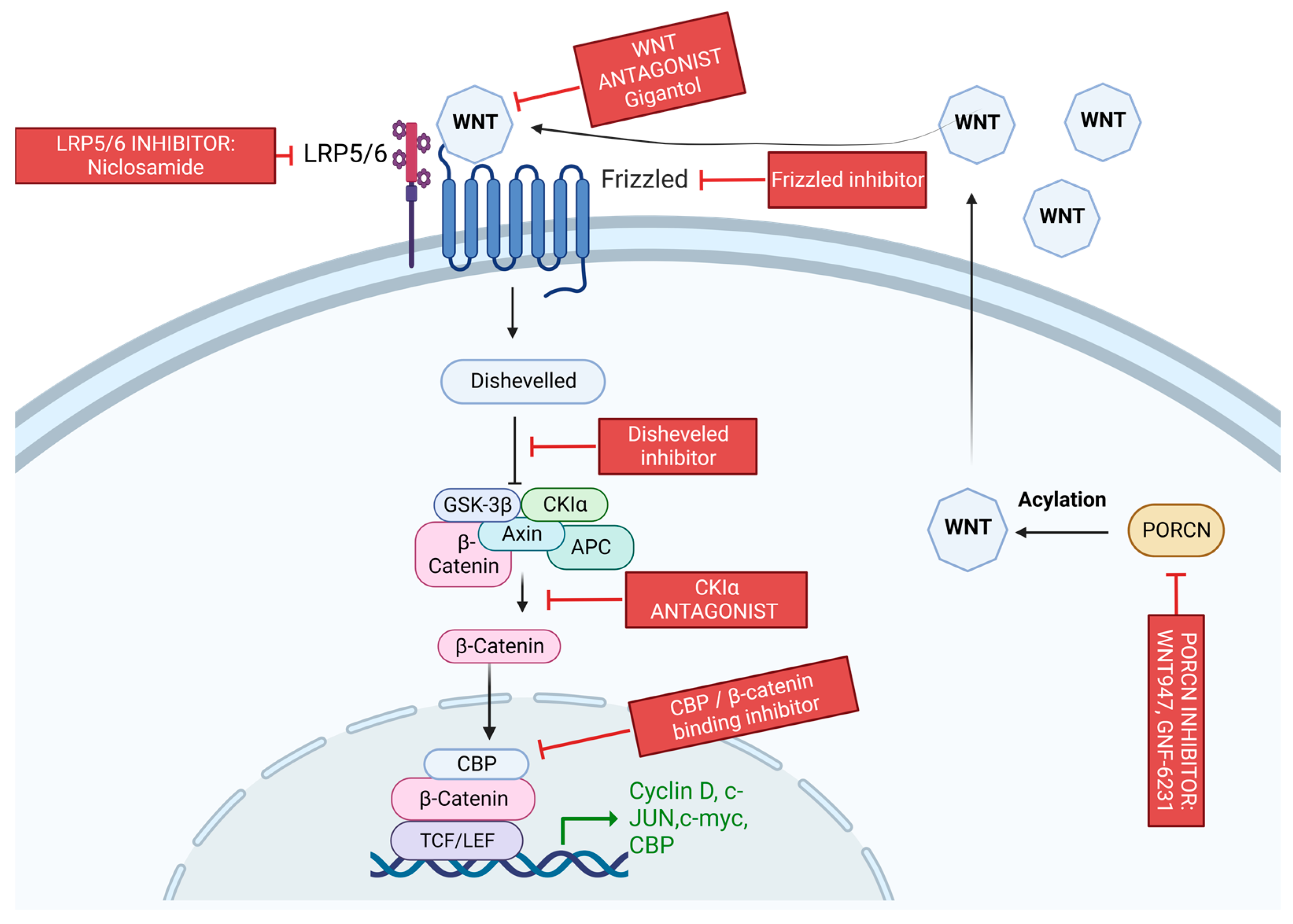 Cancers 15 01320 g008 Cancers 15 01320 g008