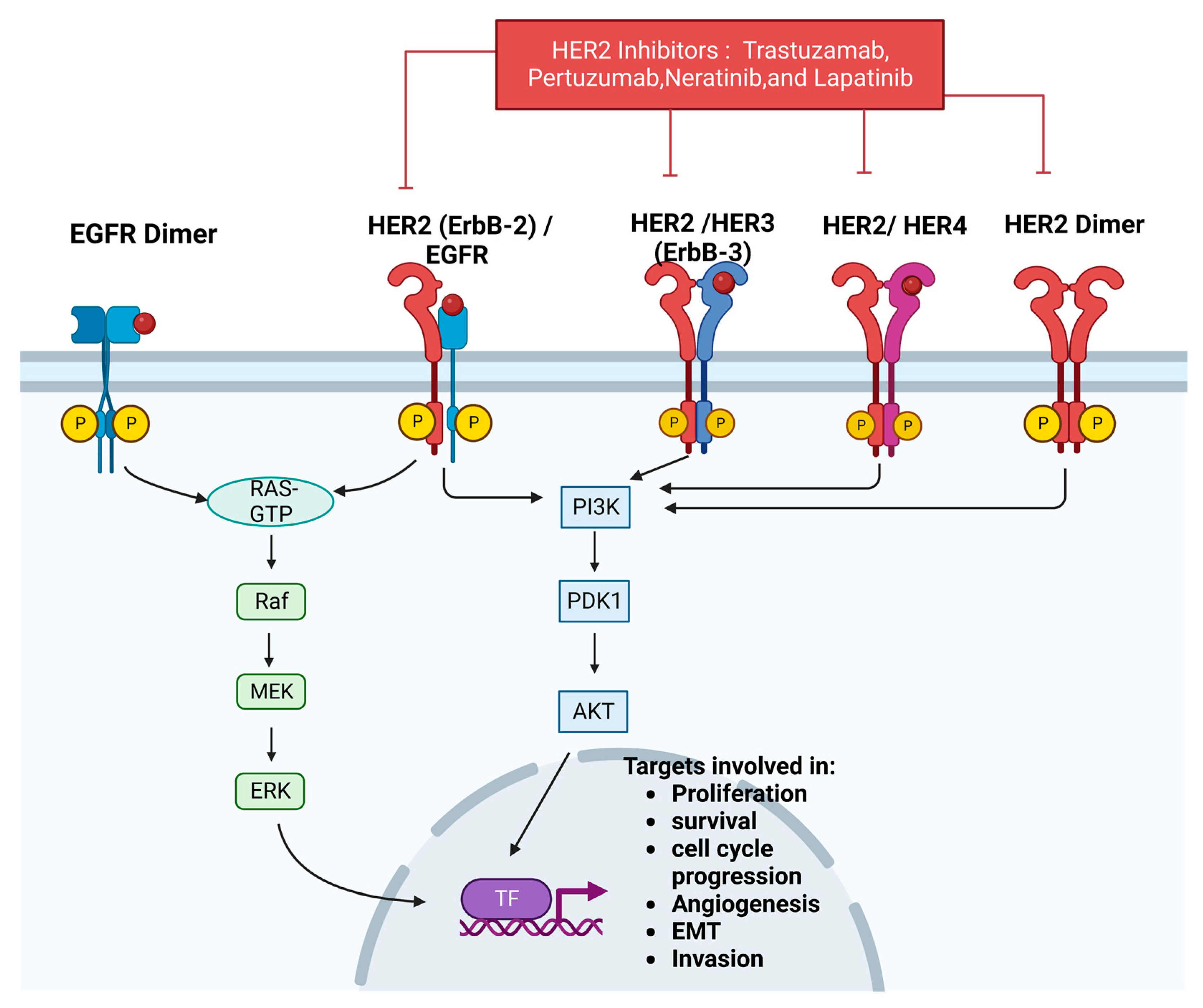 Cancers 15 01320 g009 Cancers 15 01320 g009