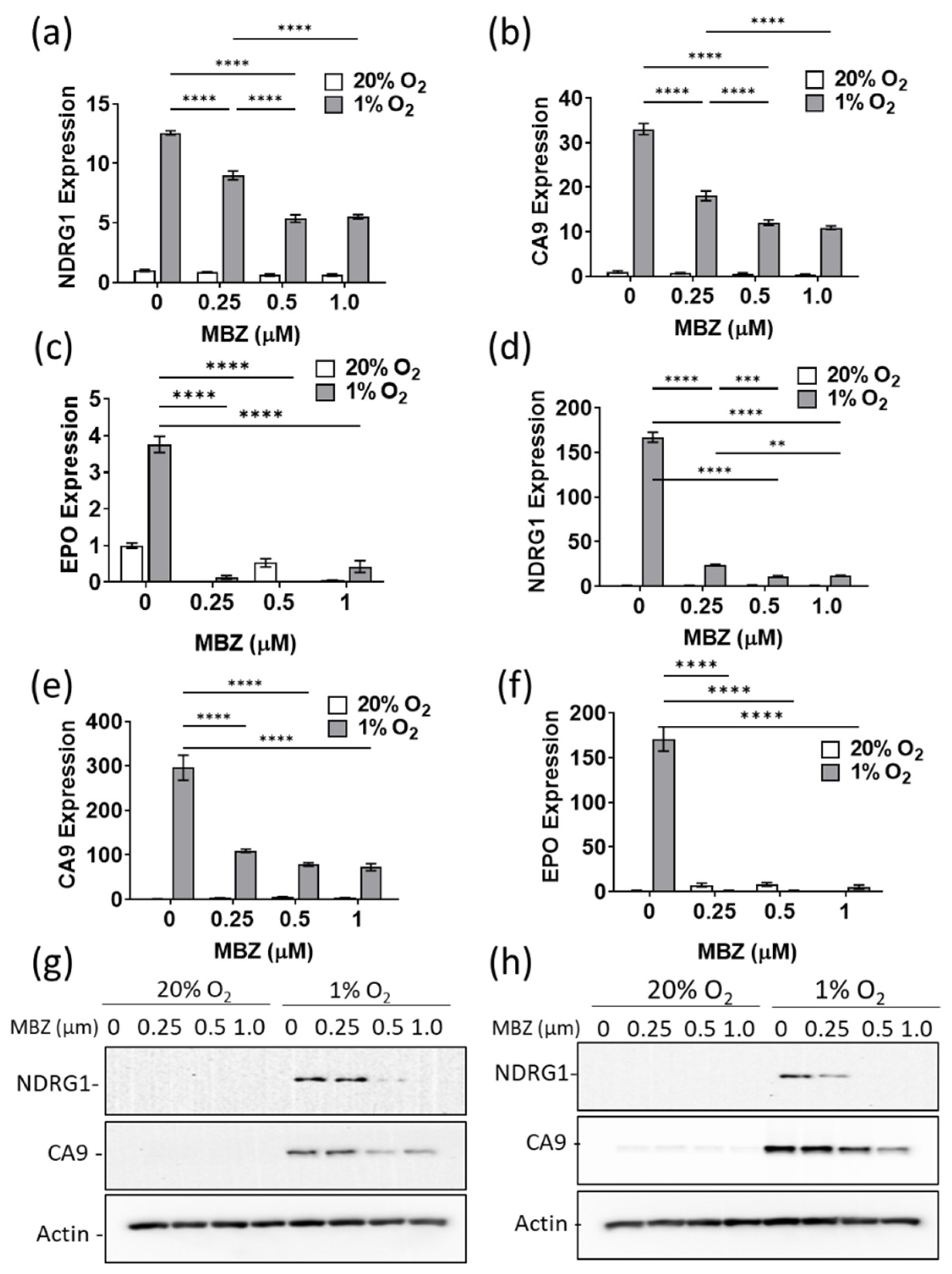 Cancers 15 01330 g004