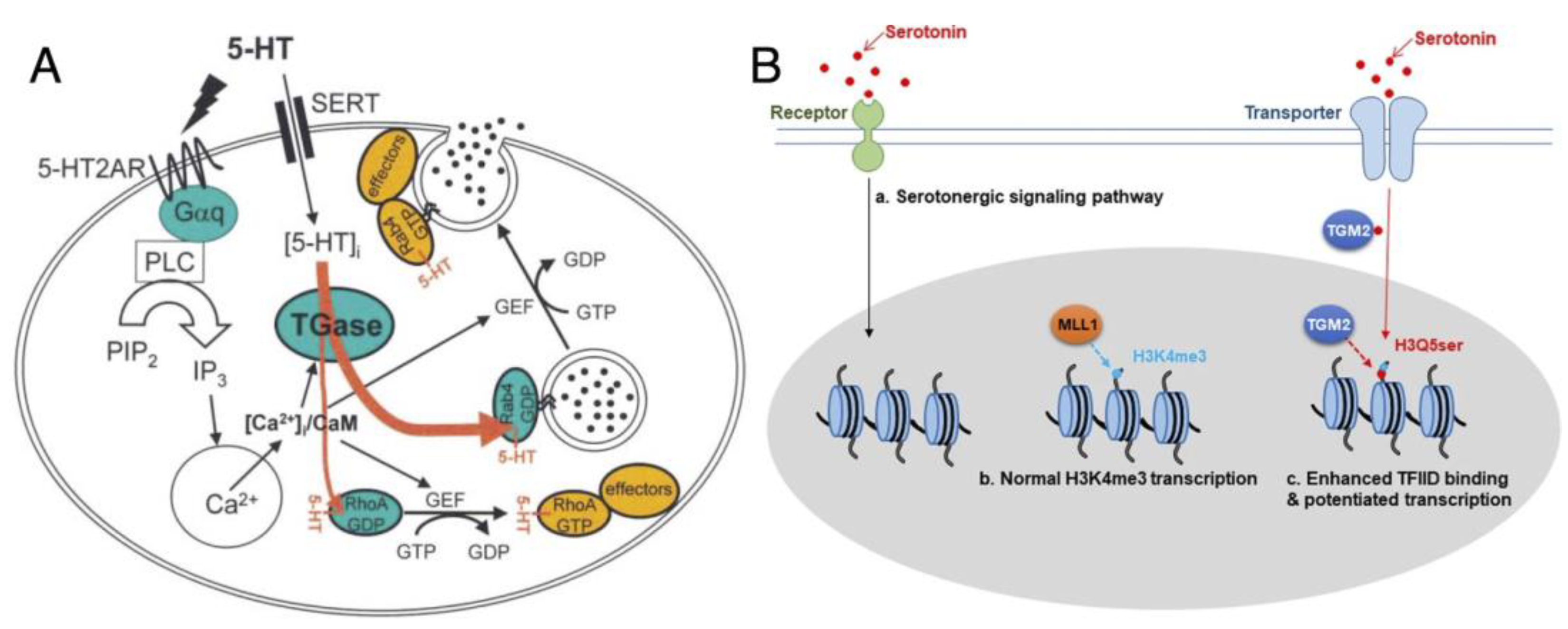 Cancers 15 01332 g003