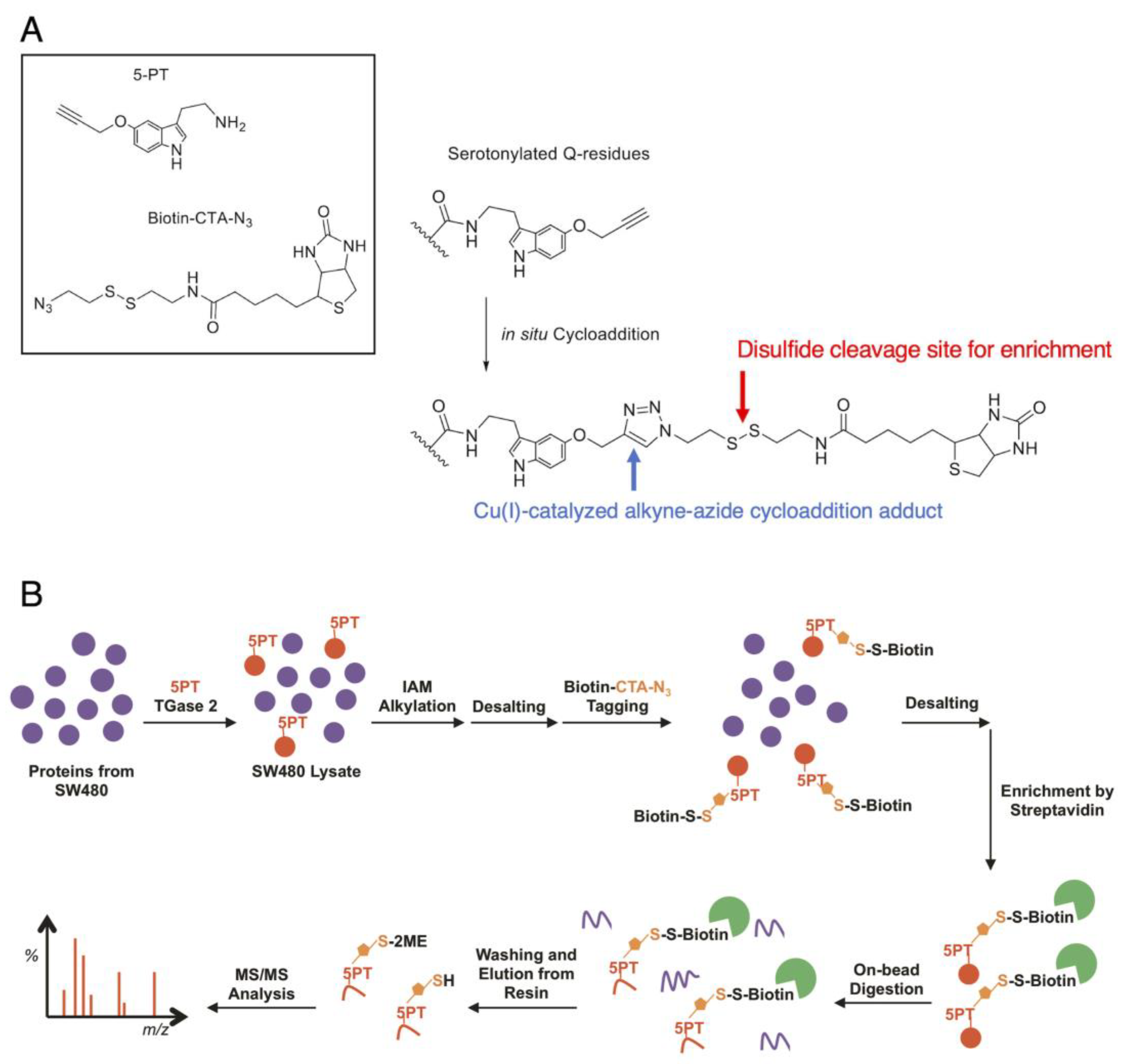 Cancers 15 01332 g004