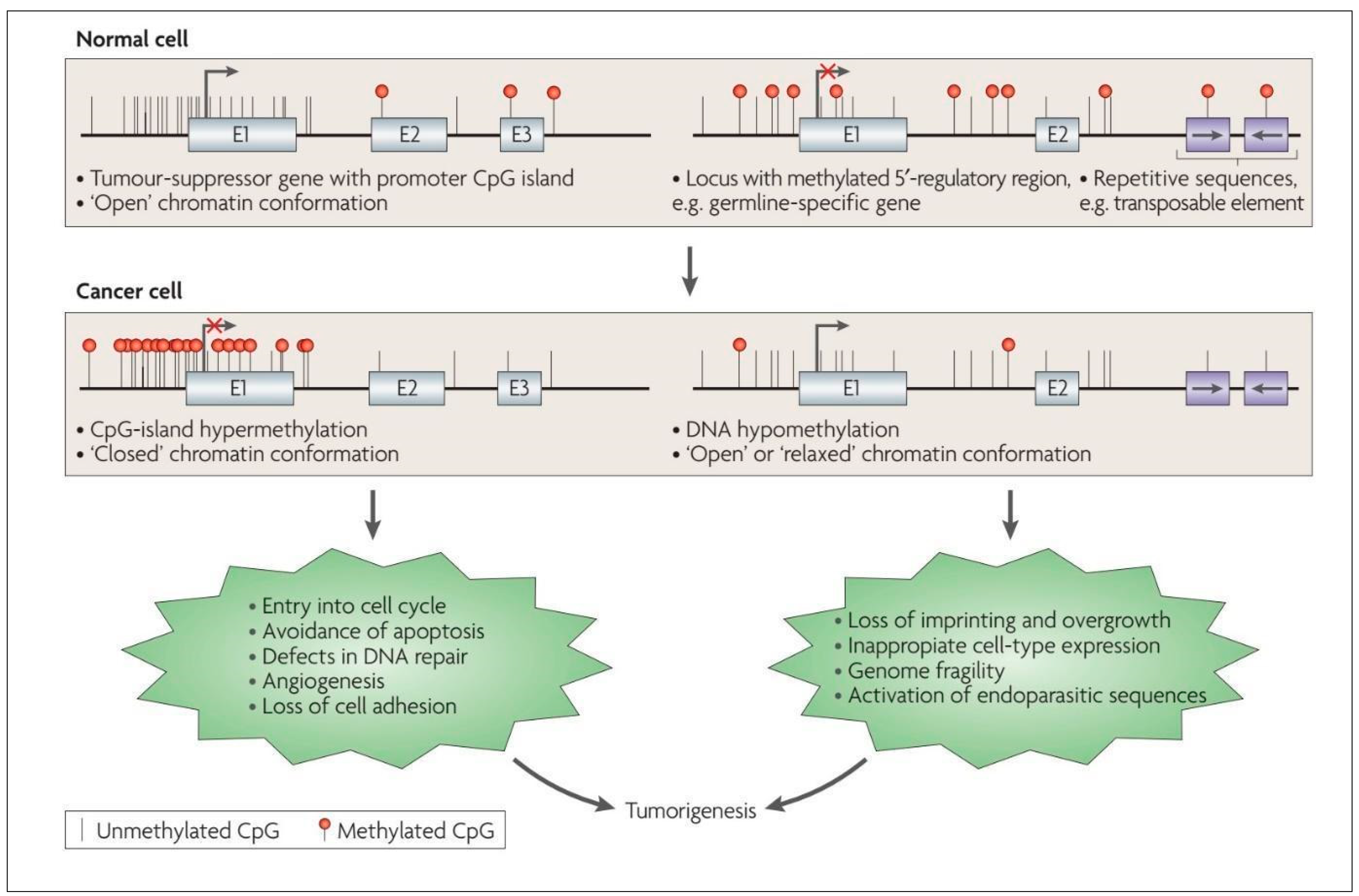 Cancers 15 01342 g002 Cancers 15 01342 g002