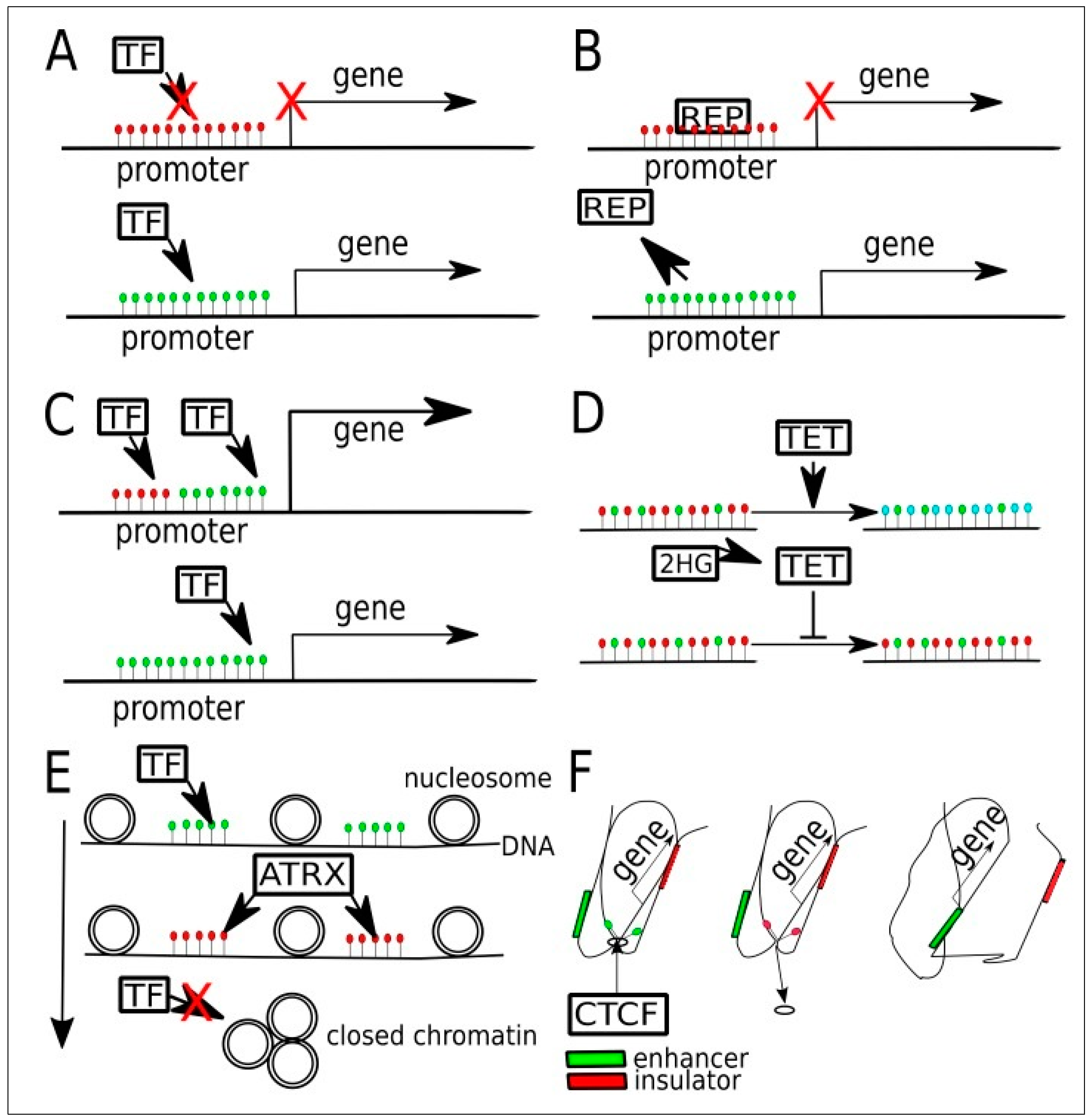 Cancers 15 01342 g005 Cancers 15 01342 g005