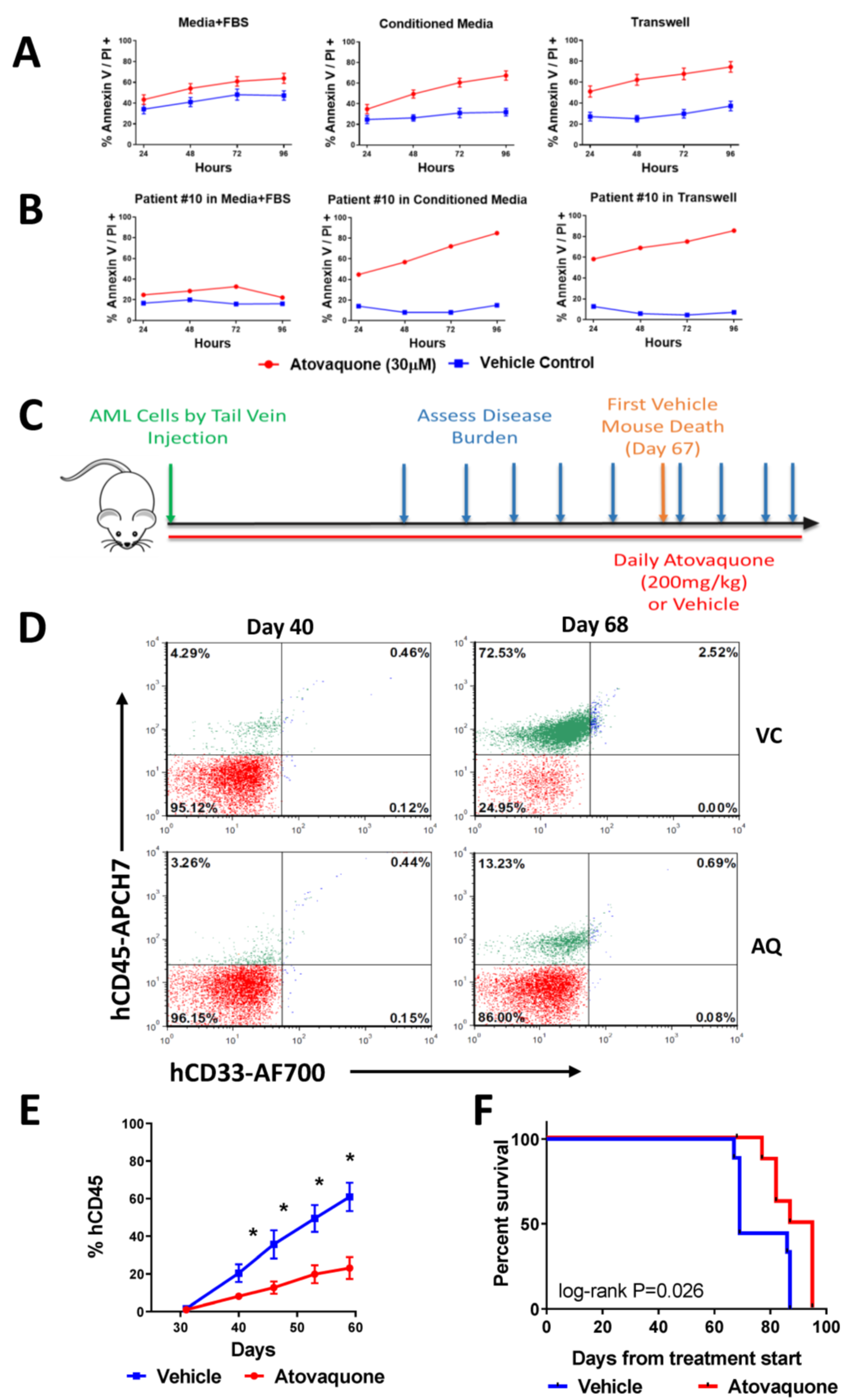 Cancers 15 01344 g004