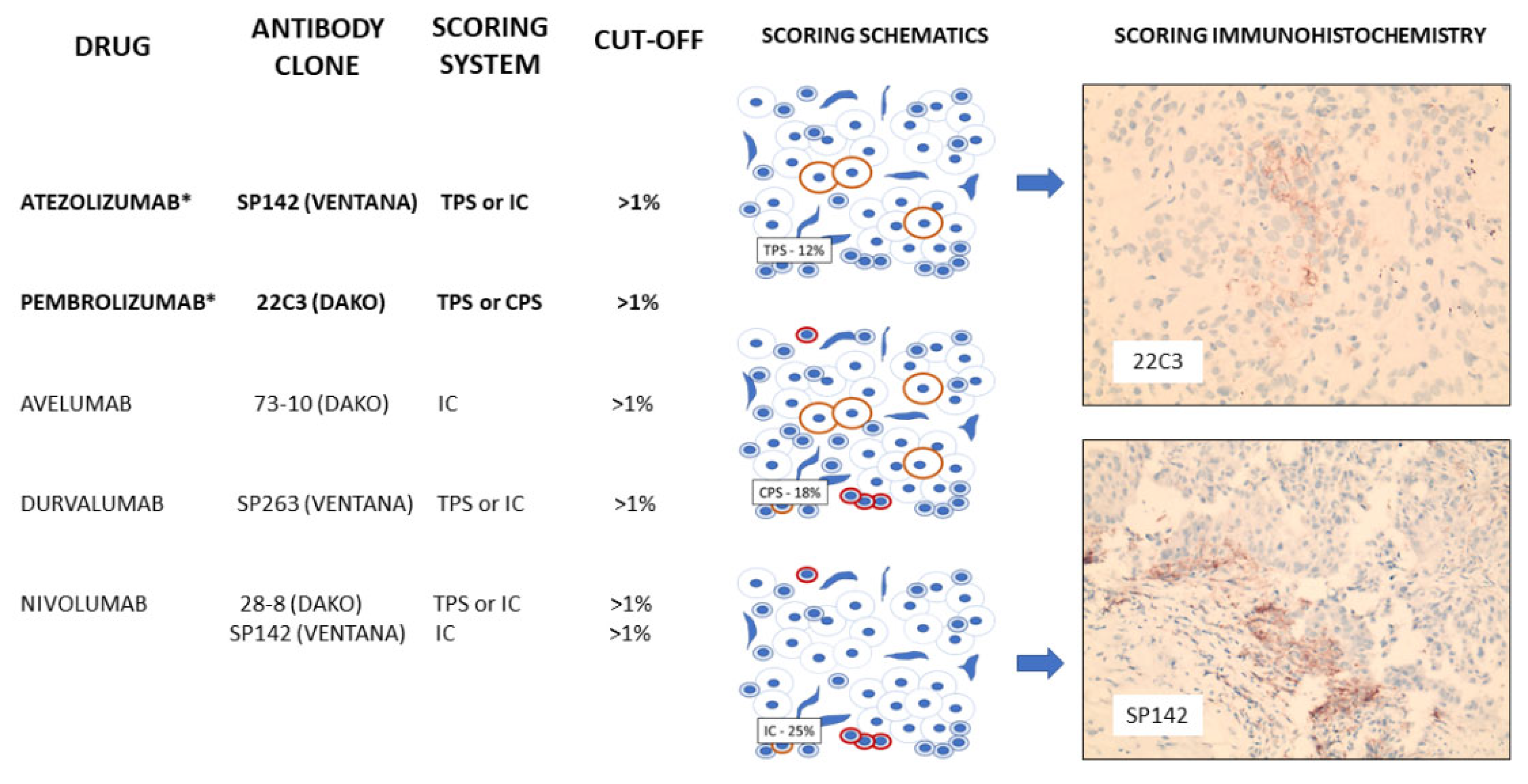 Cancers 15 01346 g002 Cancers 15 01346 g002