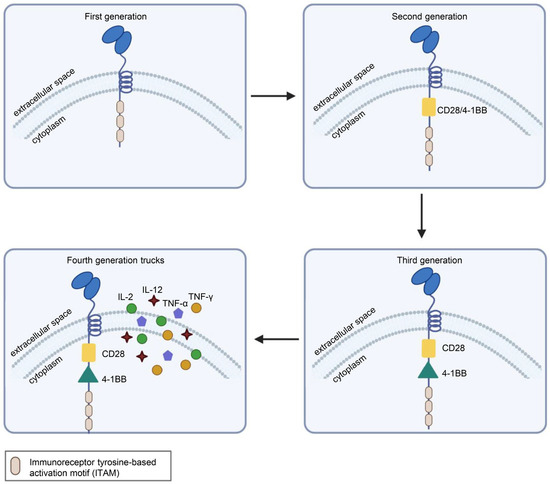 Challenges of Anti-Mesothelin CAR-T-Cell Therapy Challenges of Anti-Mesothelin CAR-T-Cell Therapy