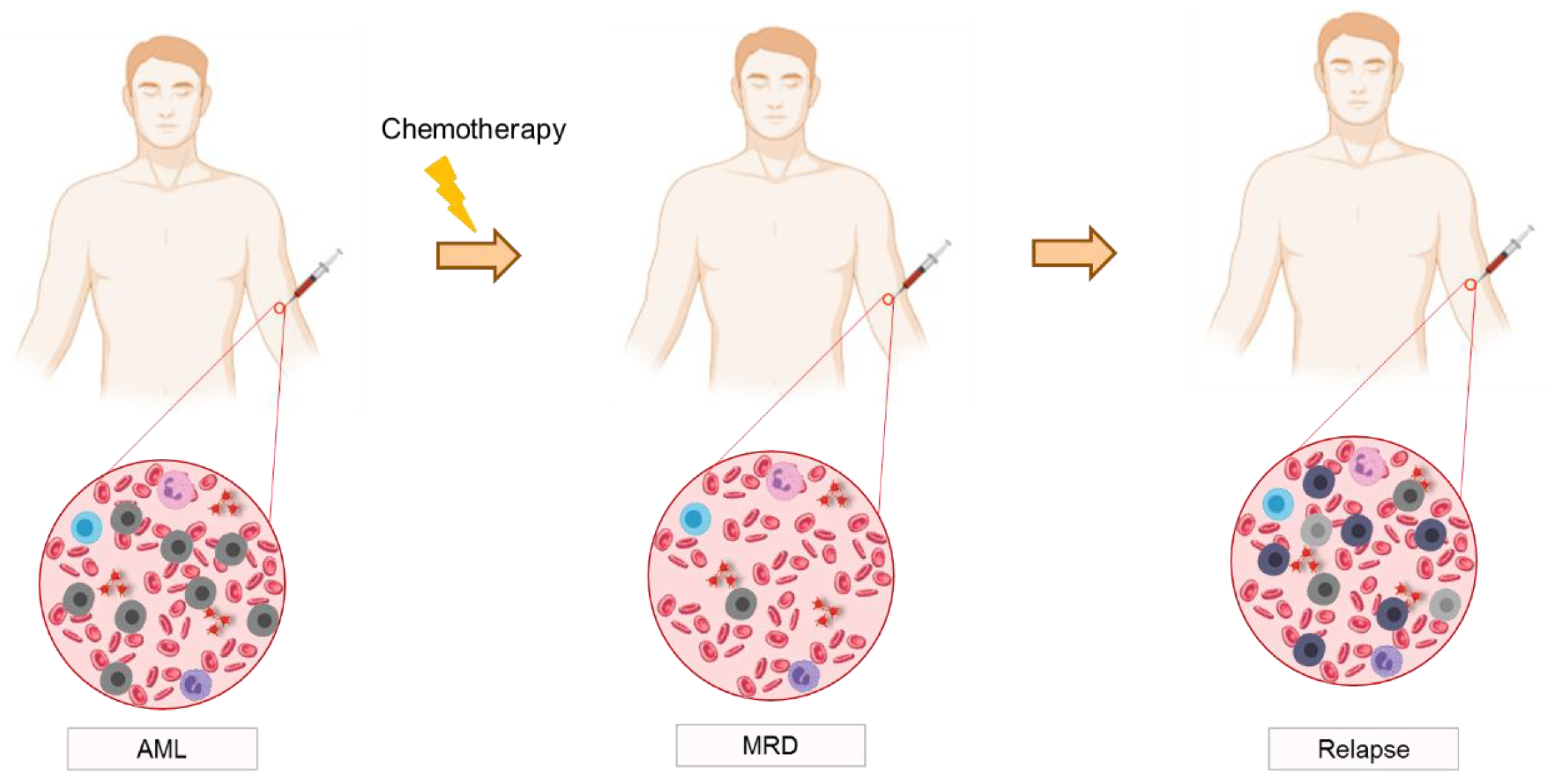 Cancers 15 01362 g002