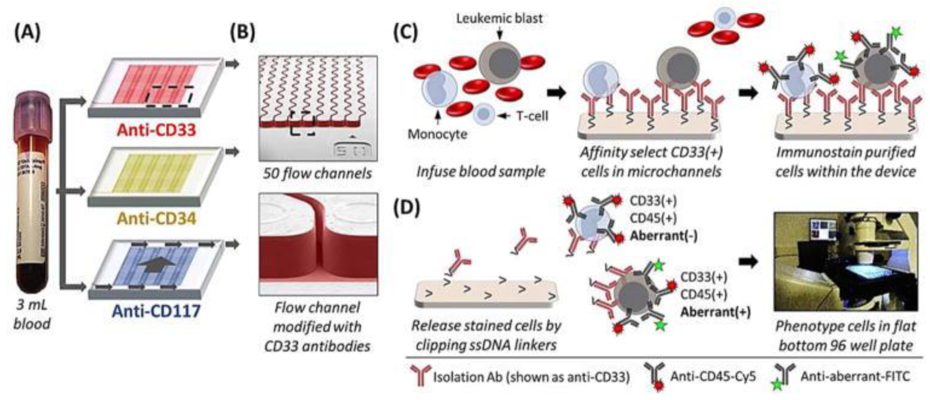 Cancers 15 01362 g003